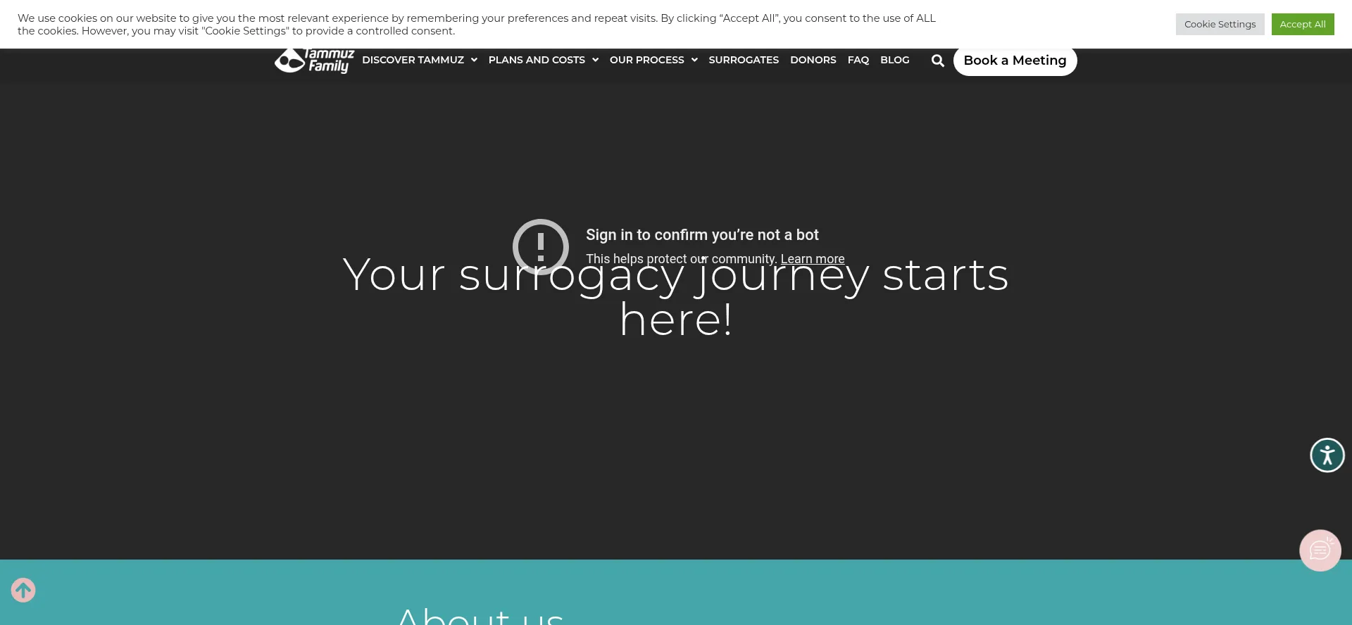 Website screenshot of Tammuz.com