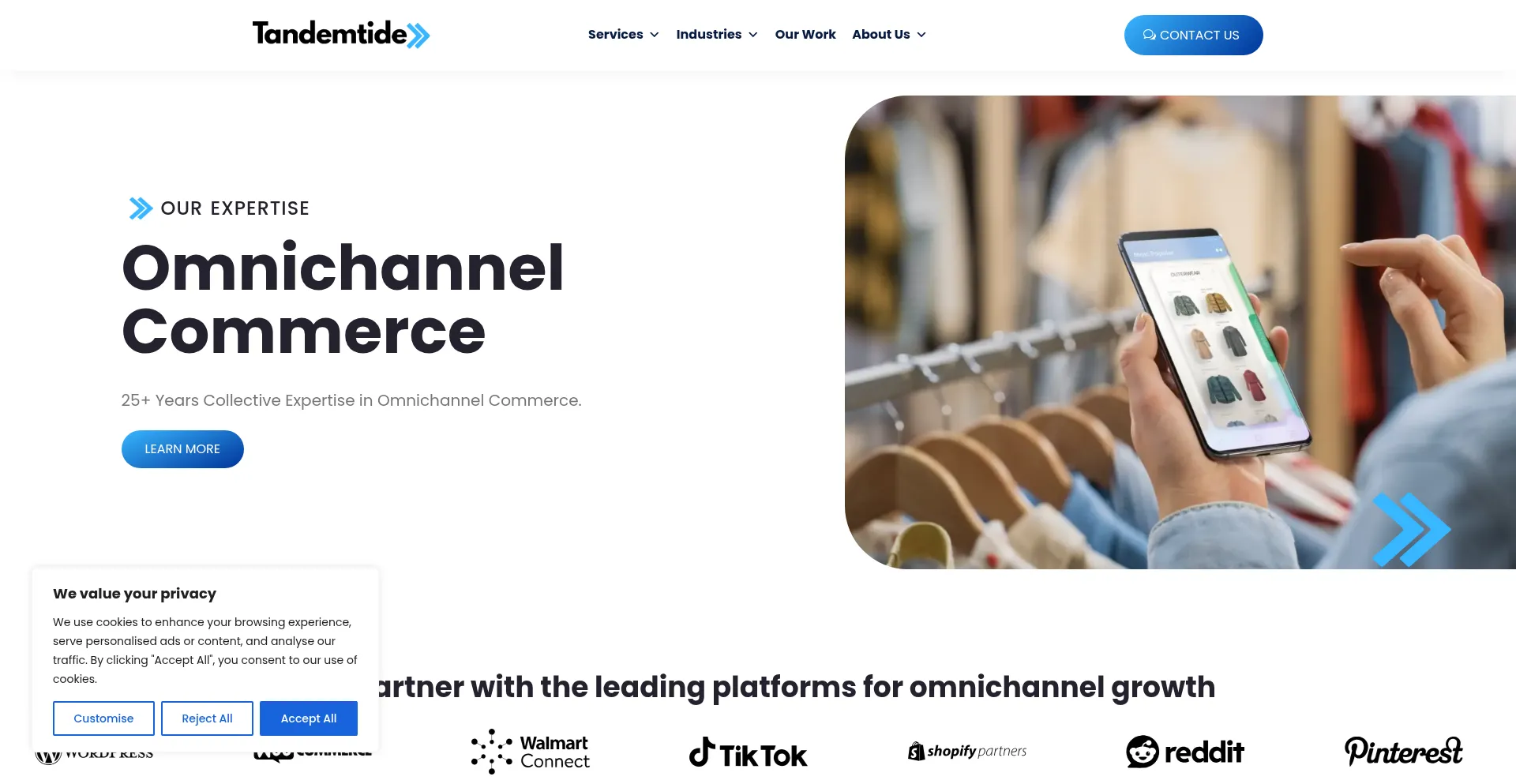 Website screenshot of Tandemtide.com