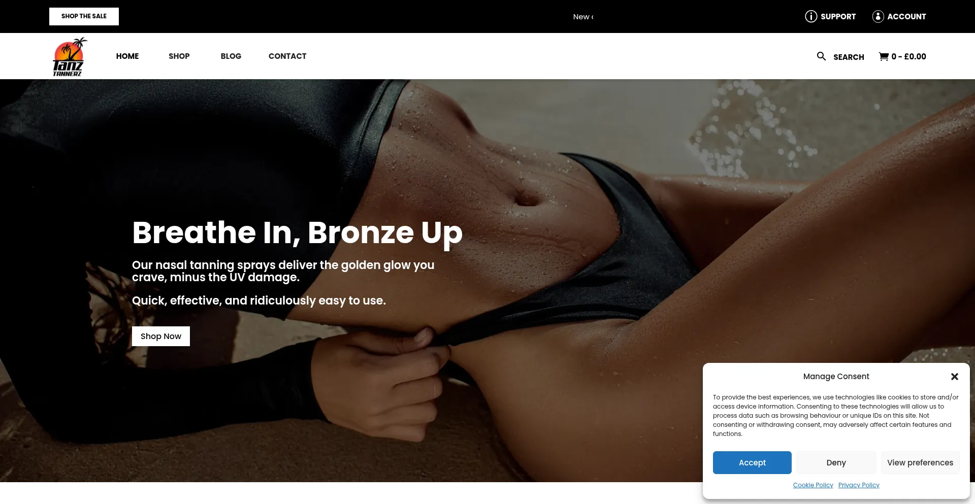 Website screenshot of Tanztannerz.com