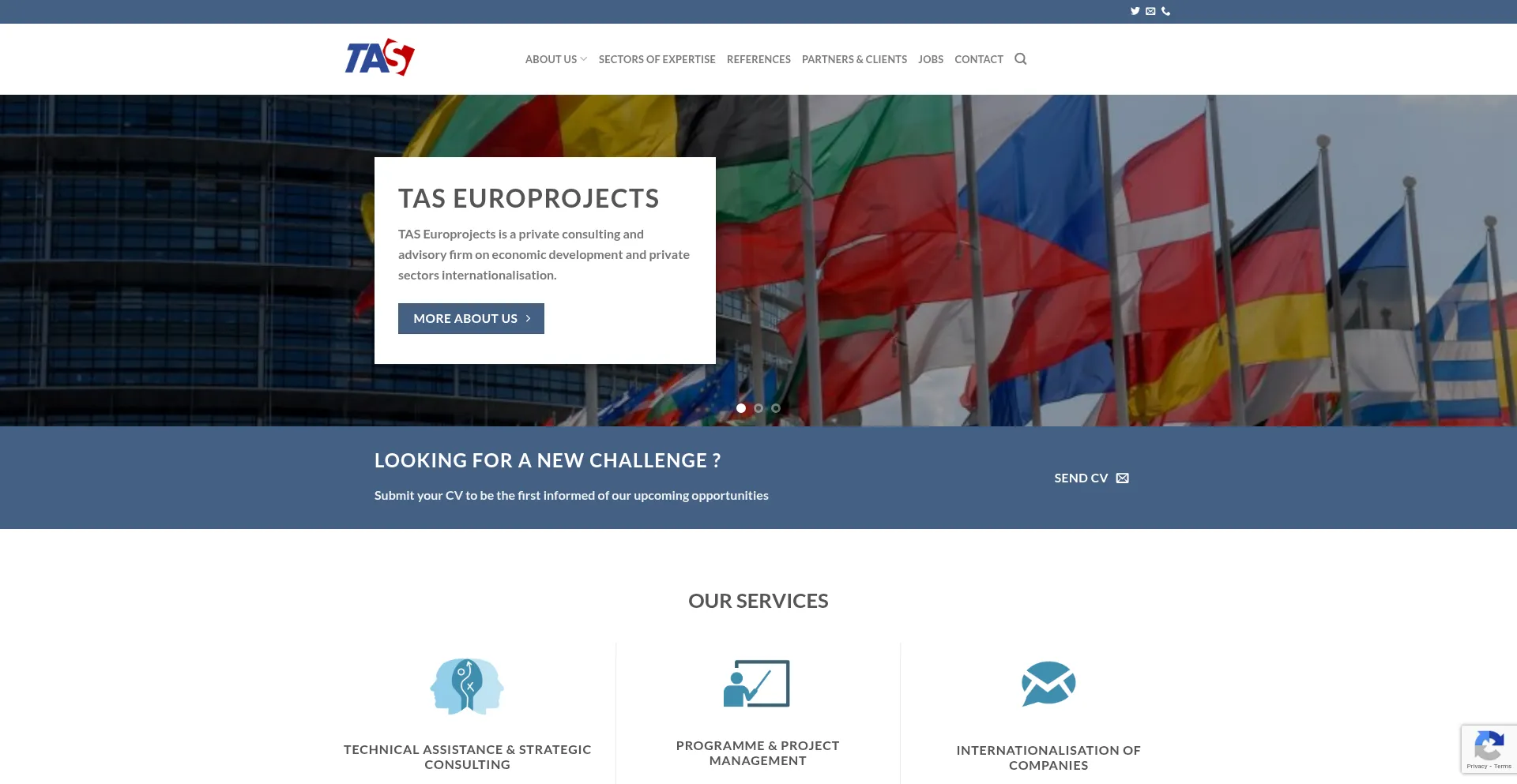Website screenshot of Taseuro.com