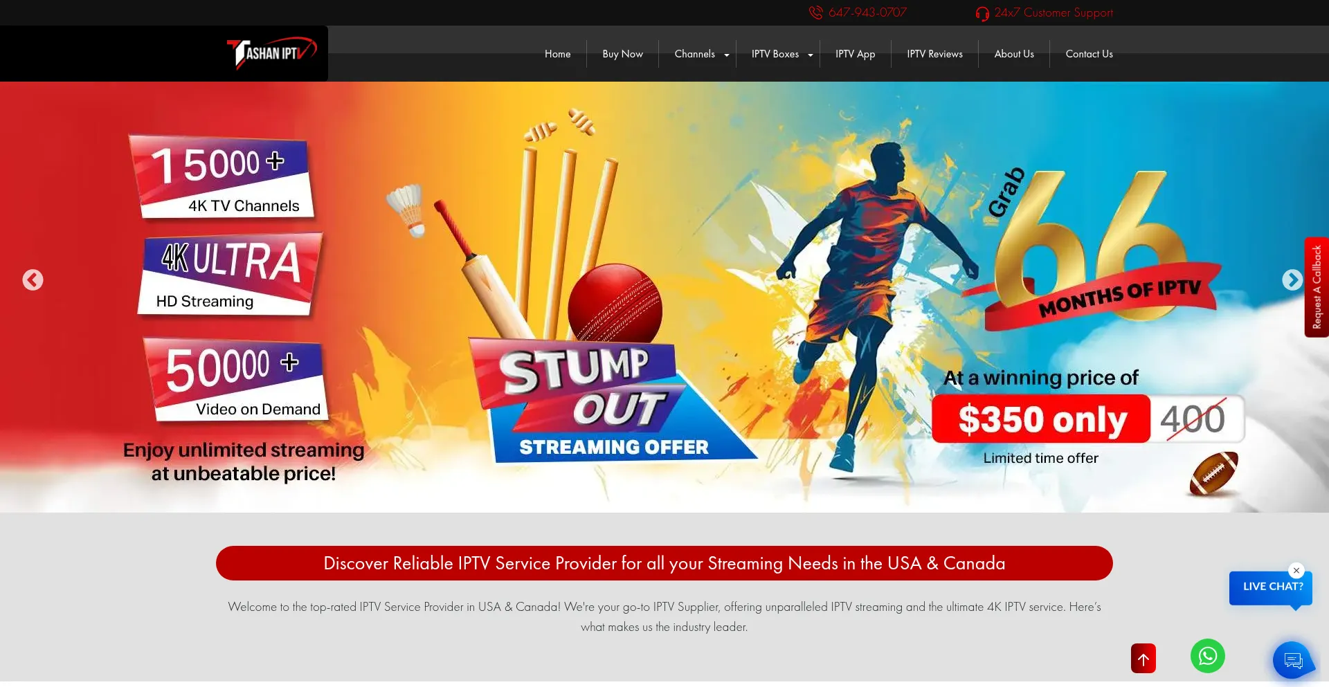 Website screenshot of Tashantv.com
