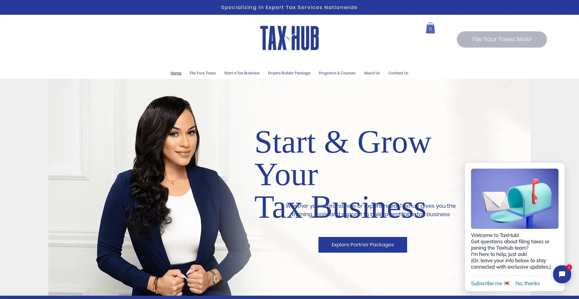 Website screenshot of Taxhubsolutions.com