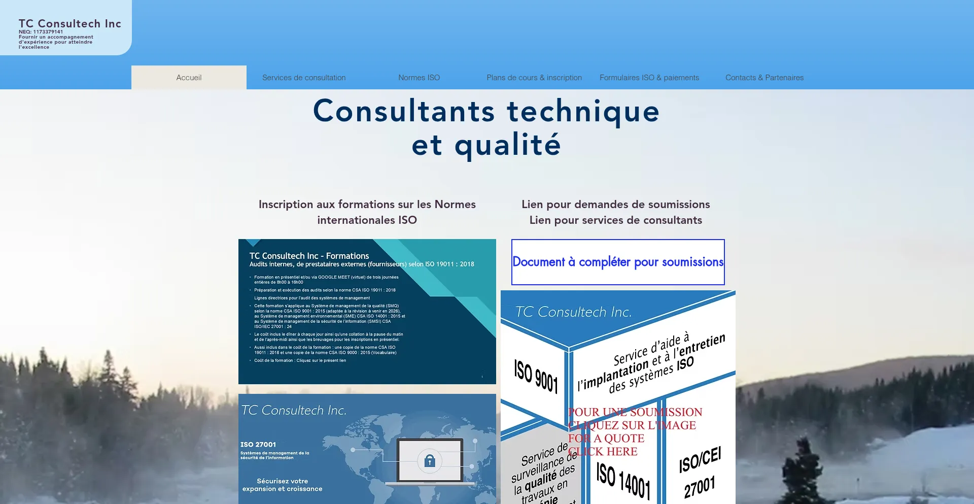 Tcconsultech.com Screenshot