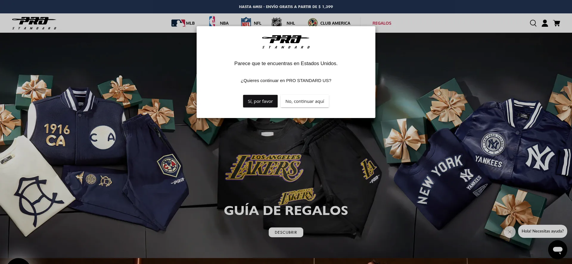 Website screenshot of Teamprostandard.mx