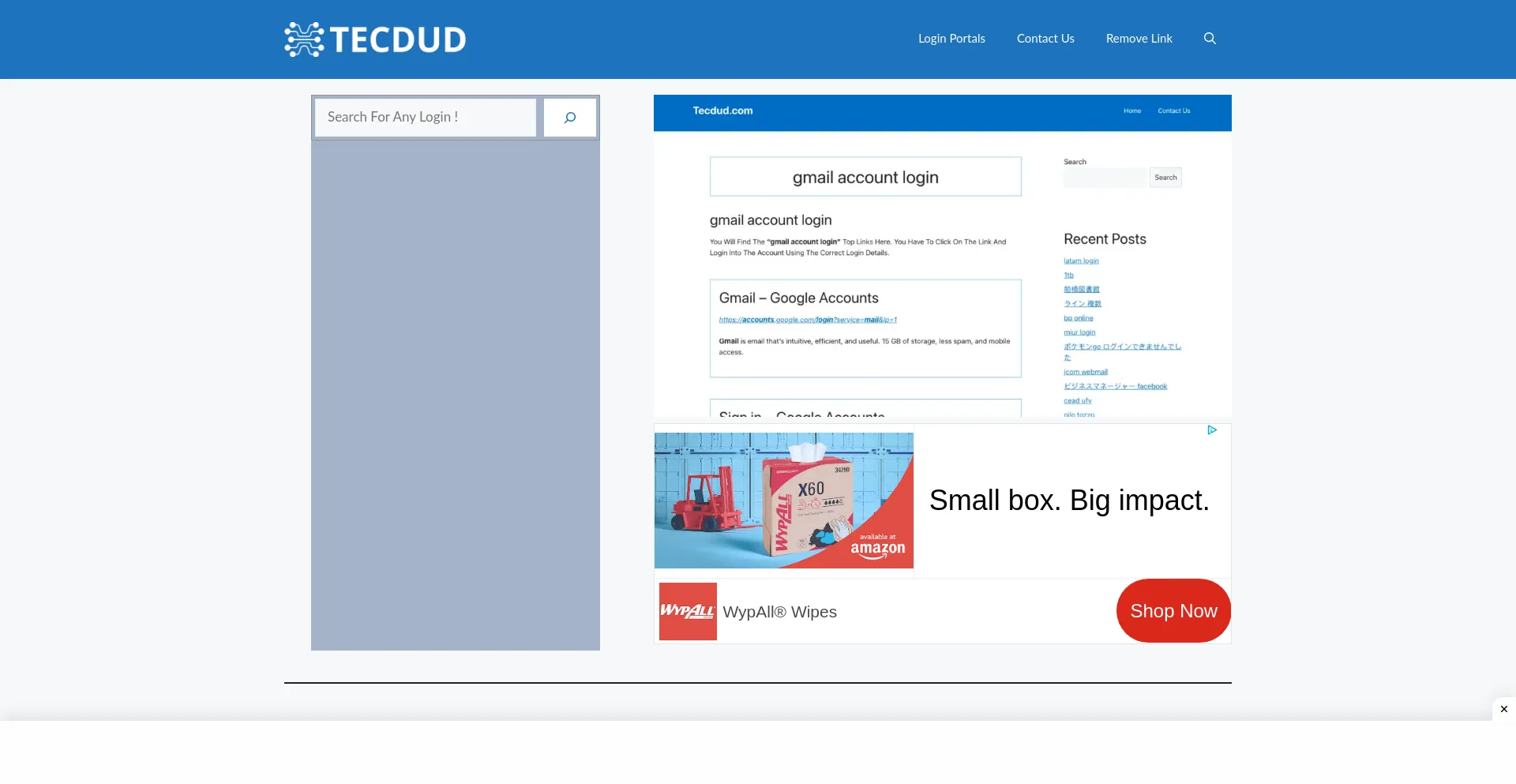Website screenshot of Tecdud.com
