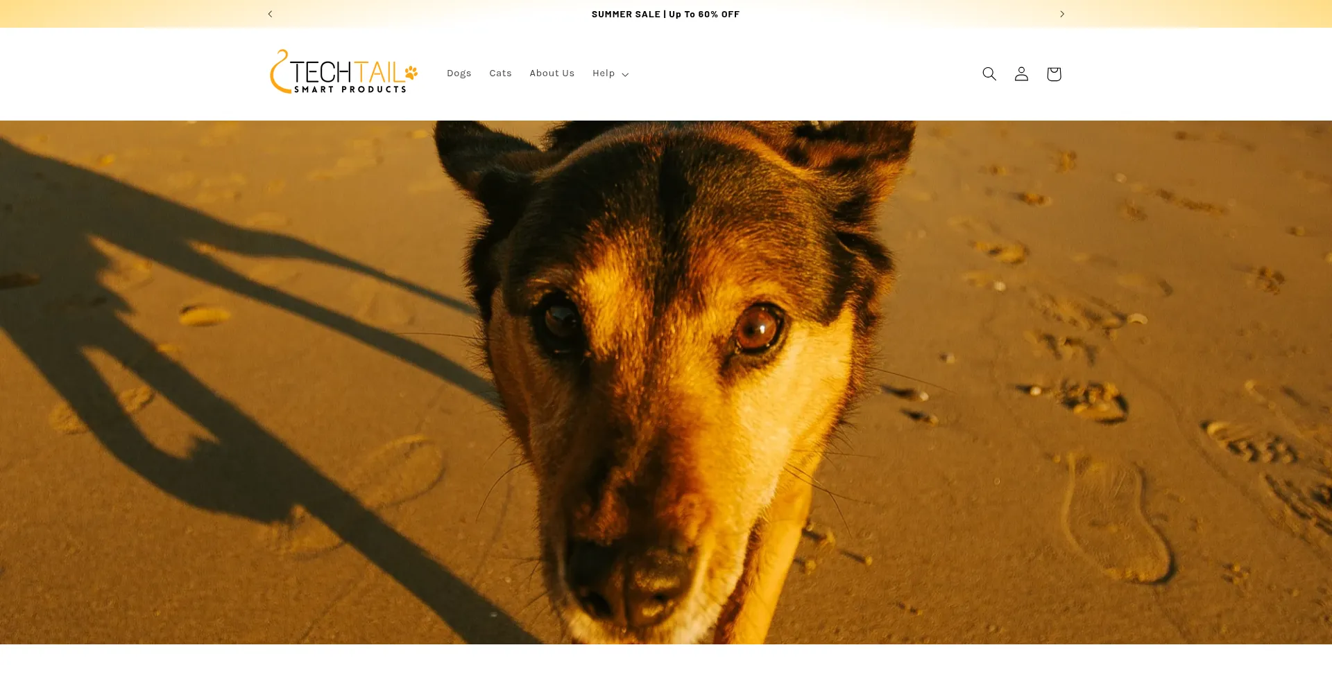 Techtail.co Screenshot