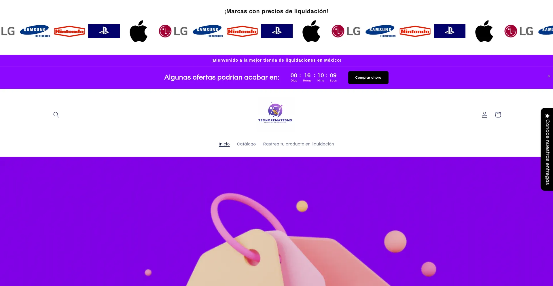 Website screenshot of Tecnorematesmx.com
