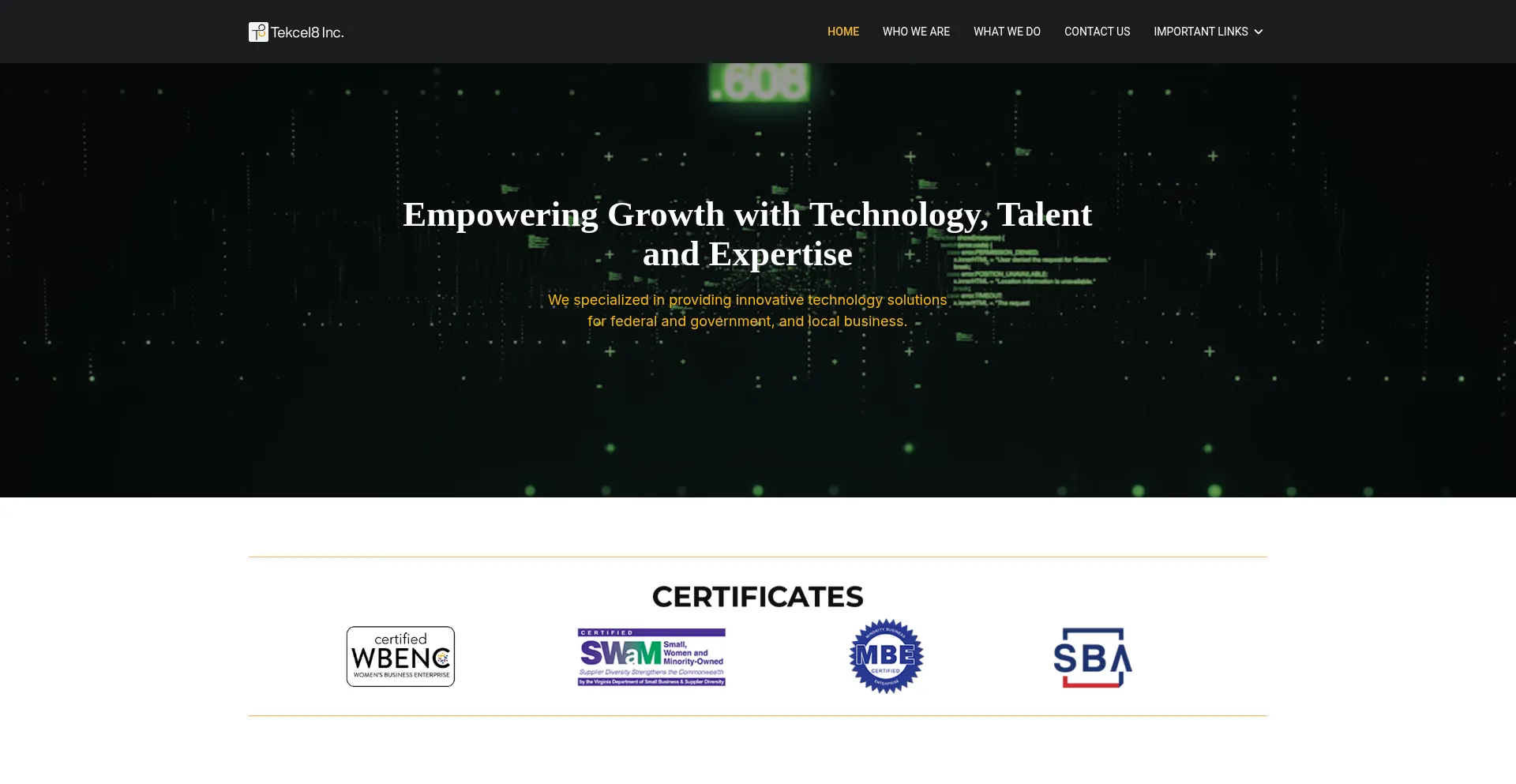 Website screenshot of Tekcel8.com