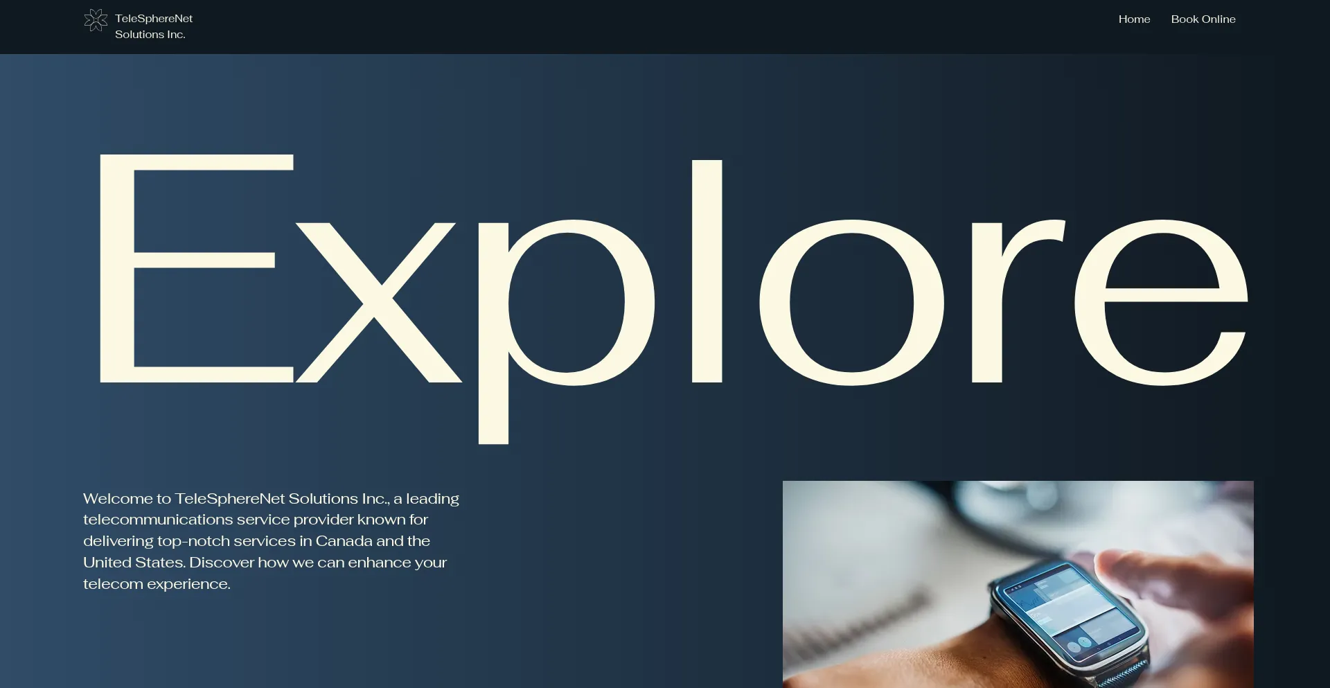 Website screenshot of Telespherenetsolutions.com