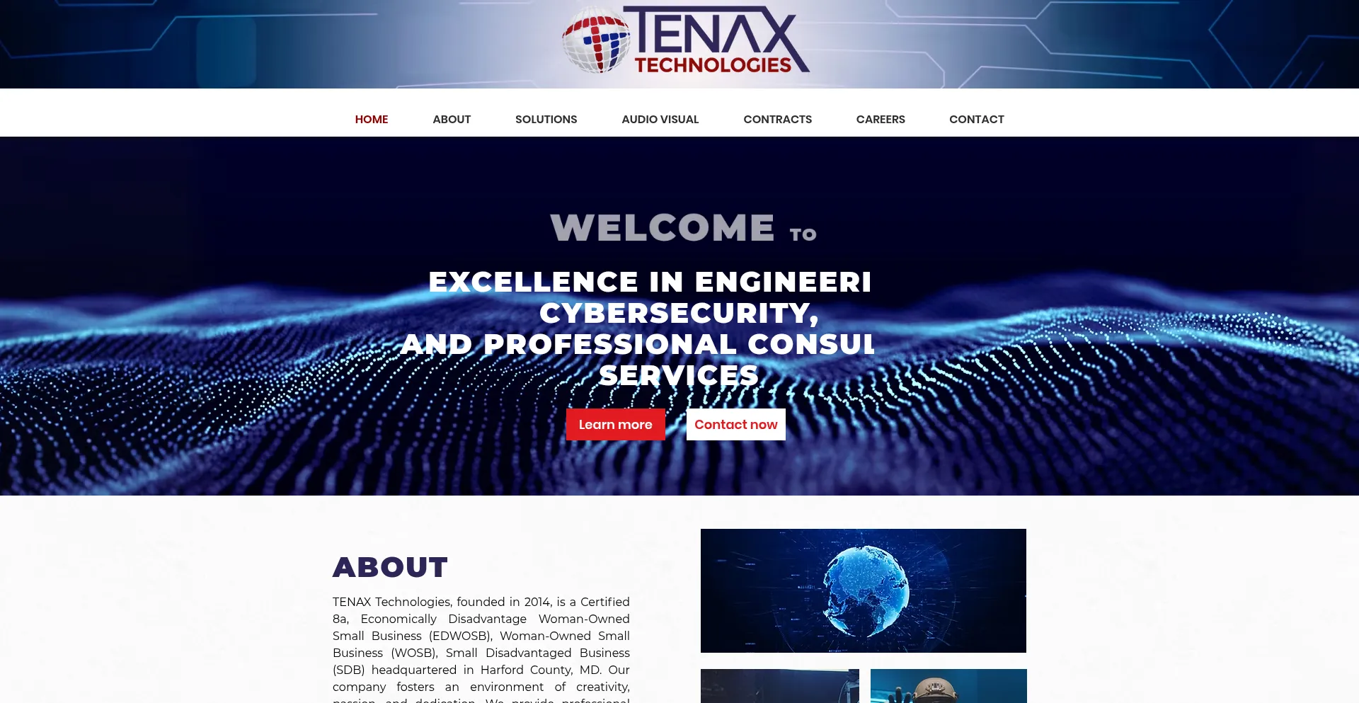 Website screenshot of Tenaxtech.com