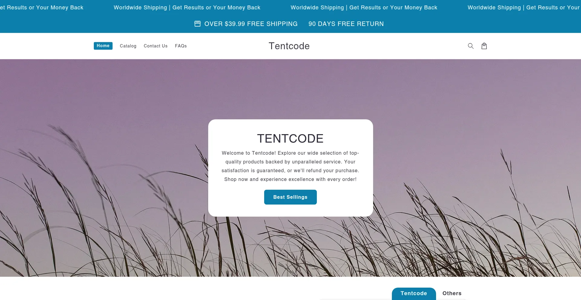 Website screenshot of Tentcode.com