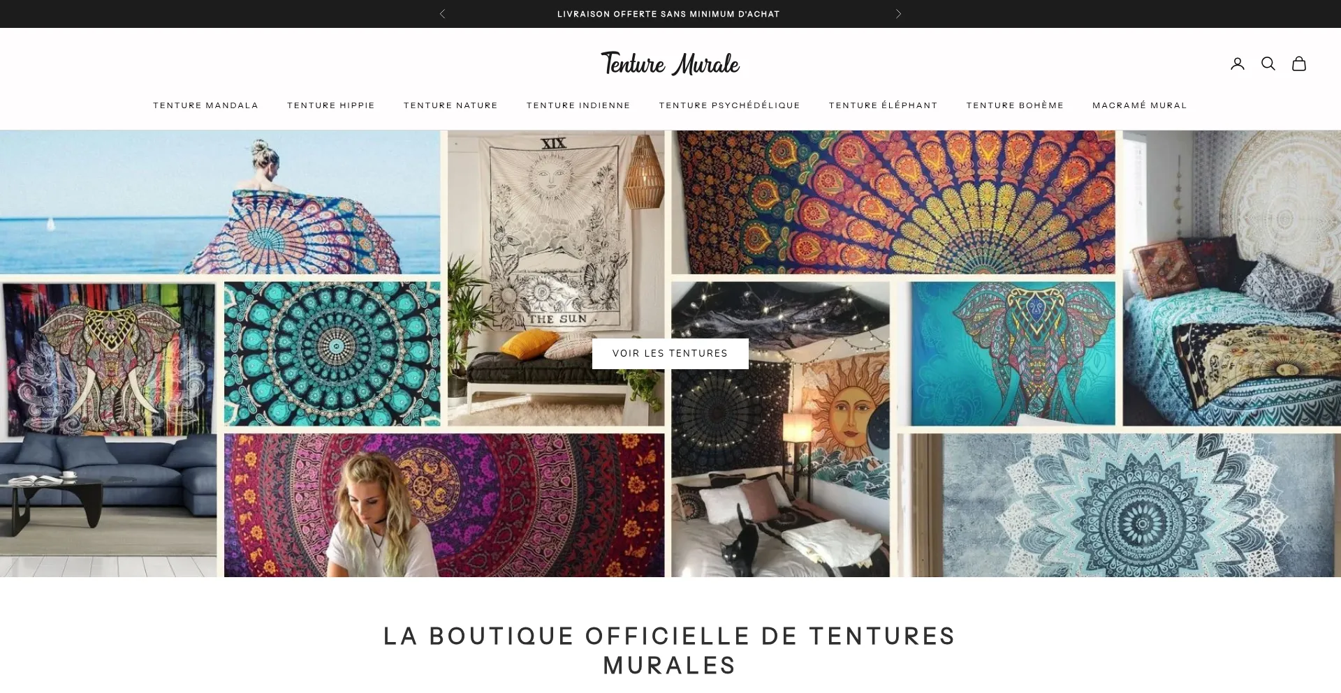 Website screenshot of Tenture-murale.com