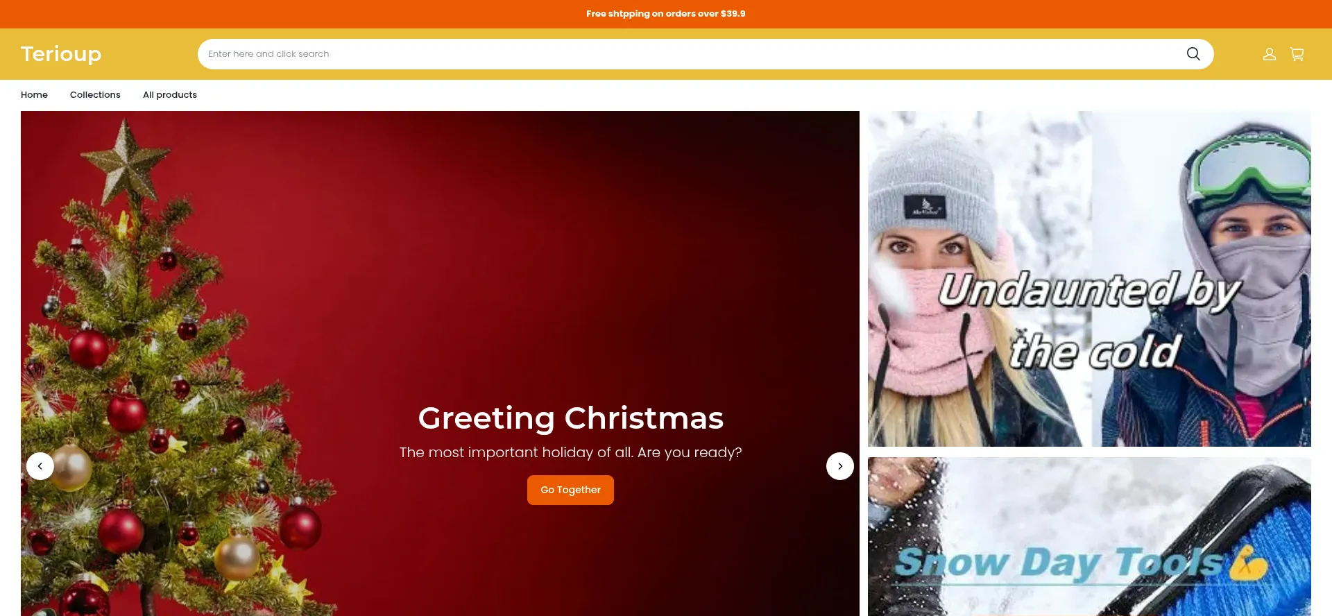 Website screenshot of Terioup.com