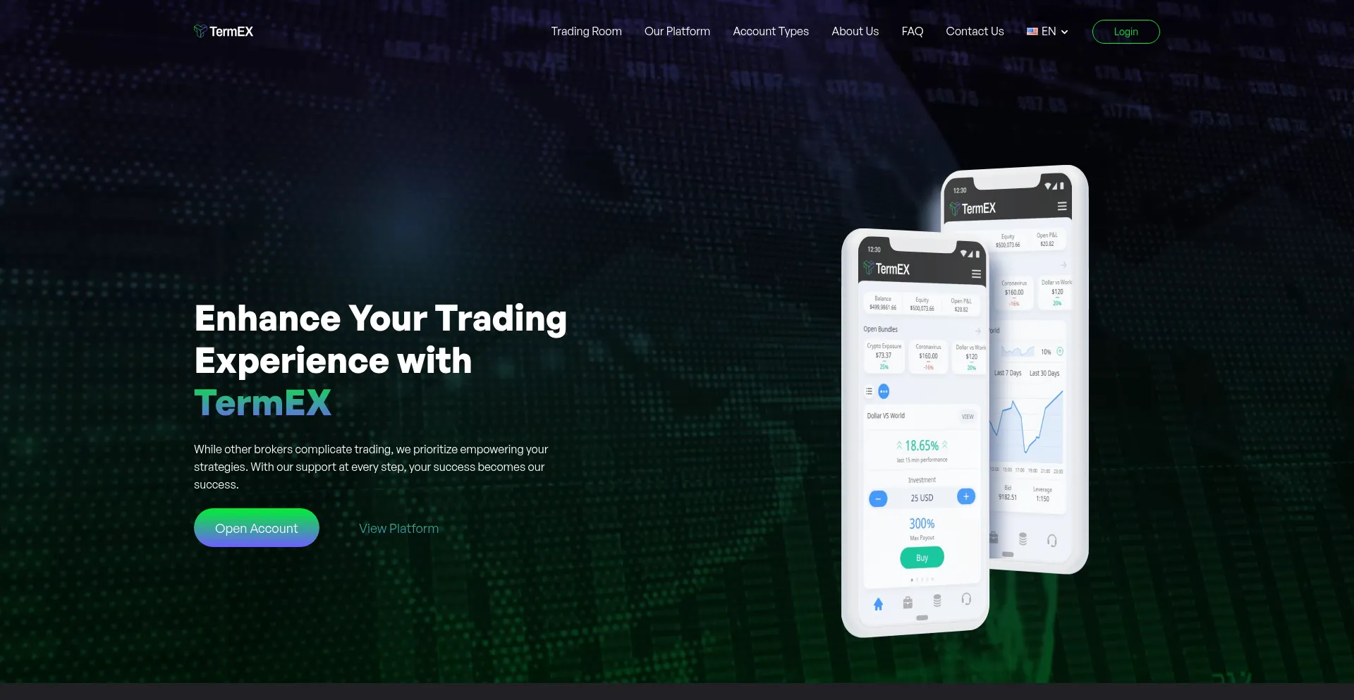 Website screenshot of Termex.me
