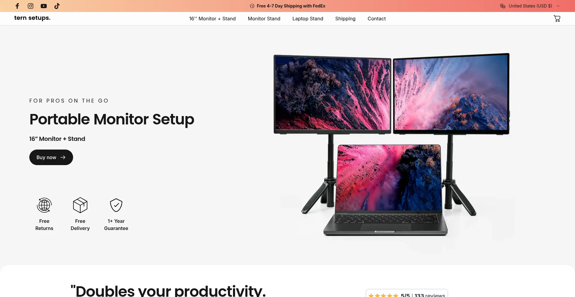 Website screenshot of Ternsetups.com
