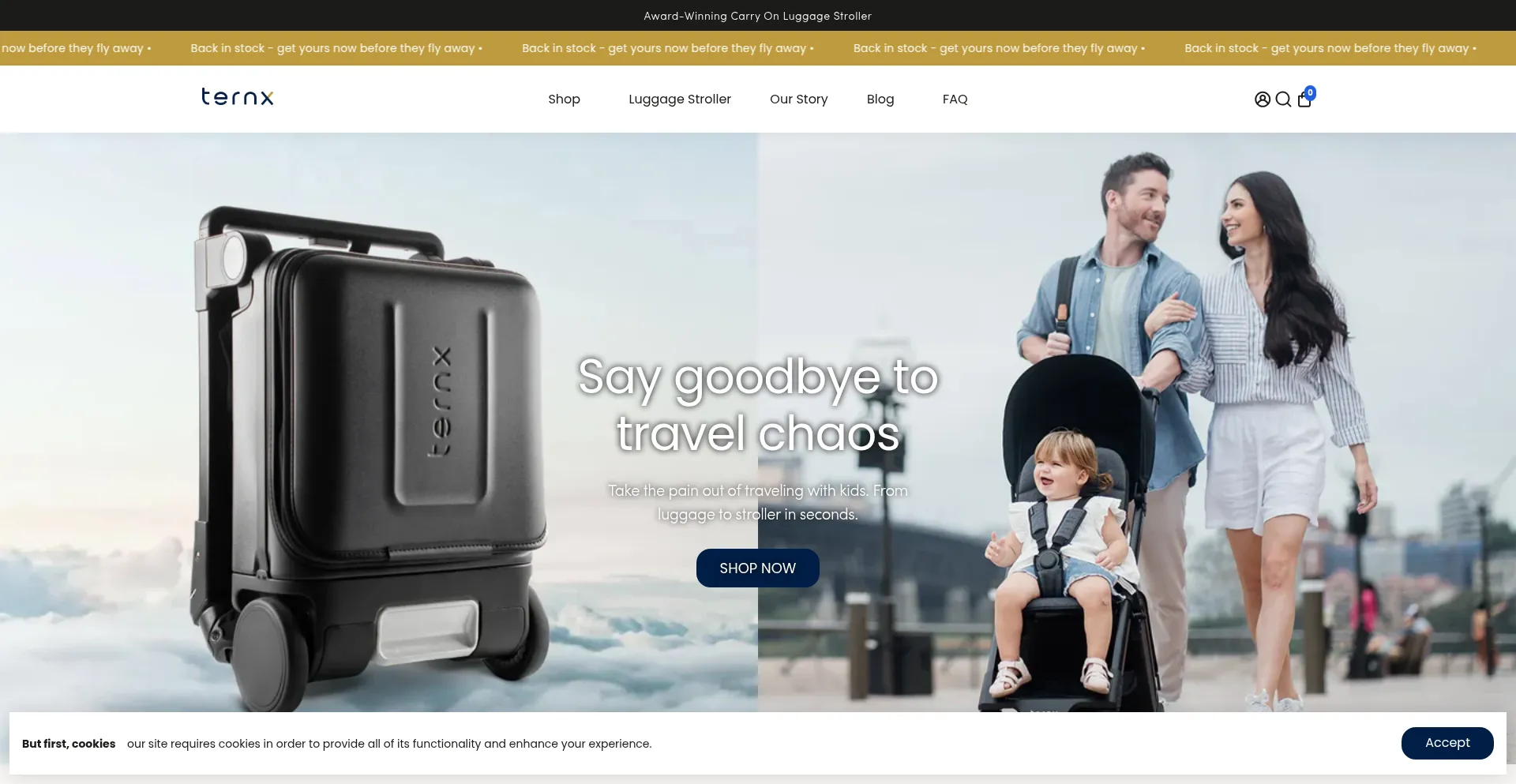 Ternx.com Screenshot