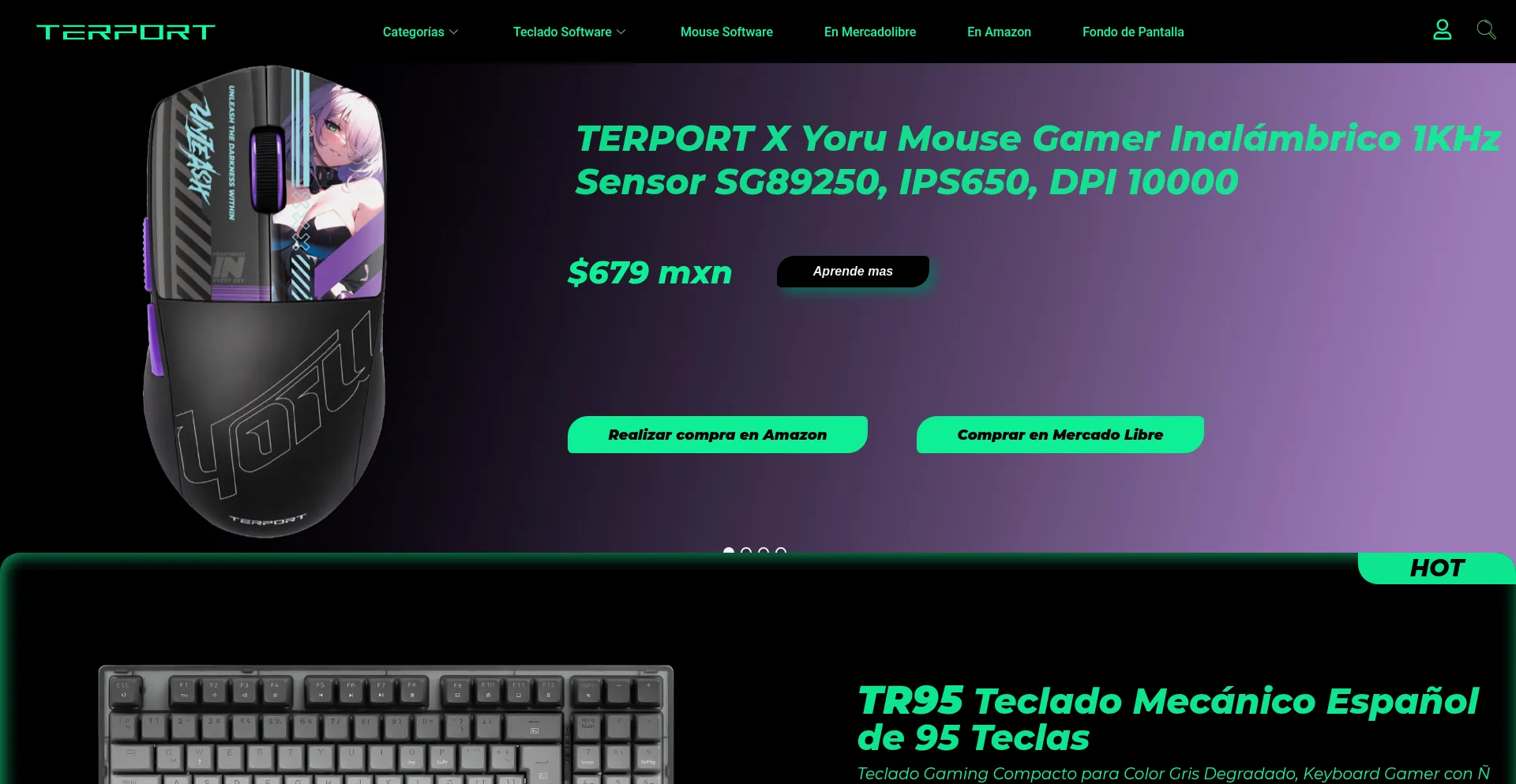 Website screenshot of Terport.net