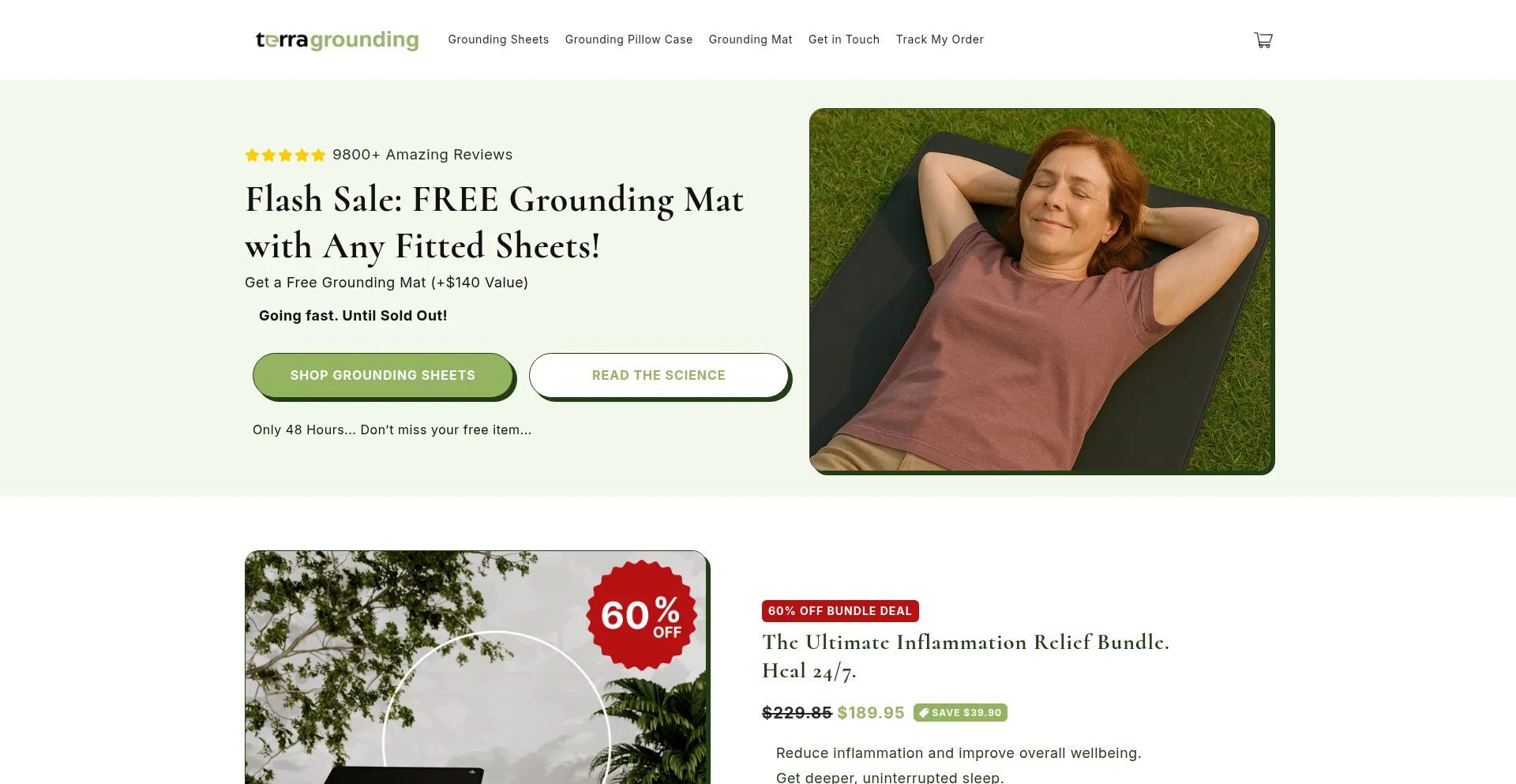 Website screenshot of Terragrounding.co