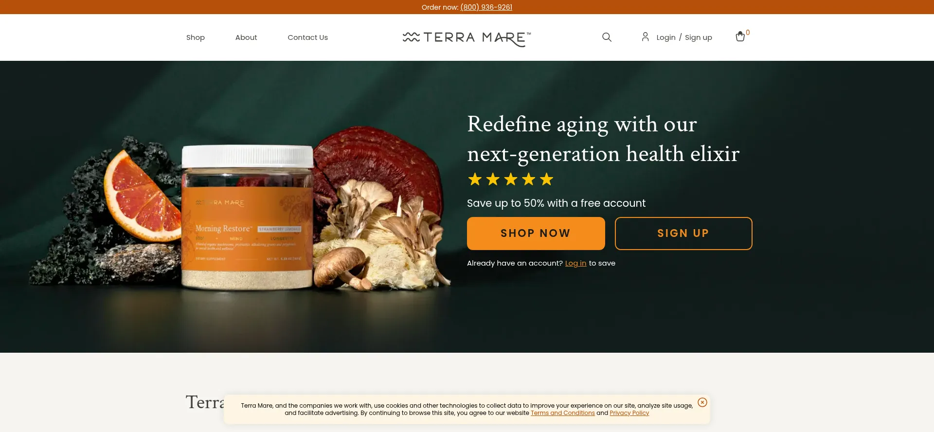 Website screenshot of Terramare.com