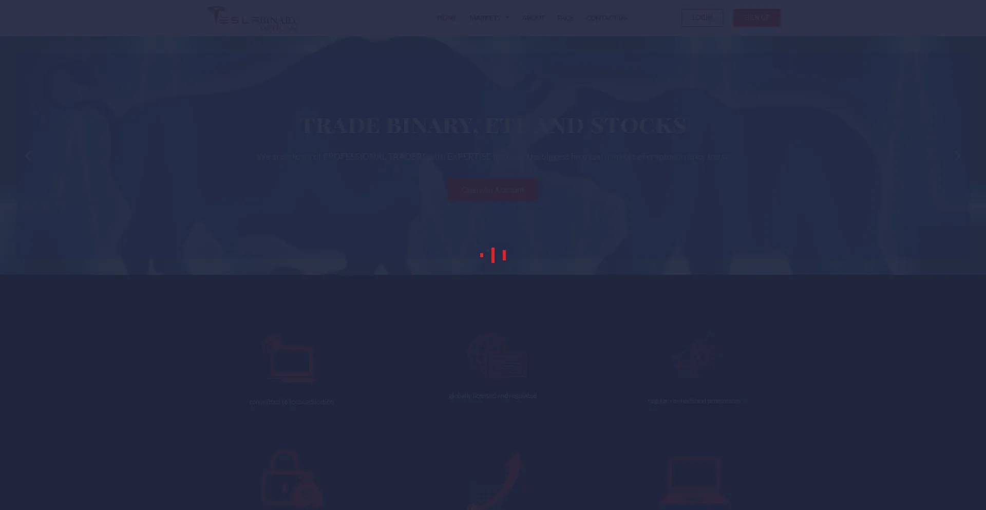 Teslabinary-options.com Screenshot