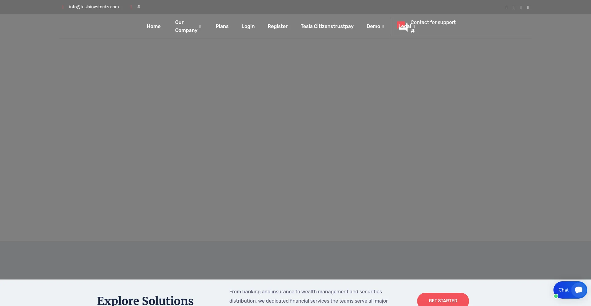 Website screenshot of Teslainvstocks.com