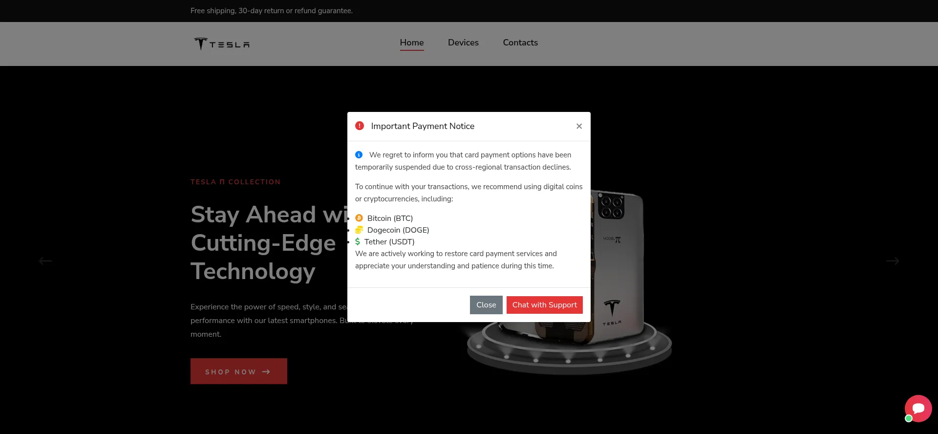 Website screenshot of Teslapiphones.shop