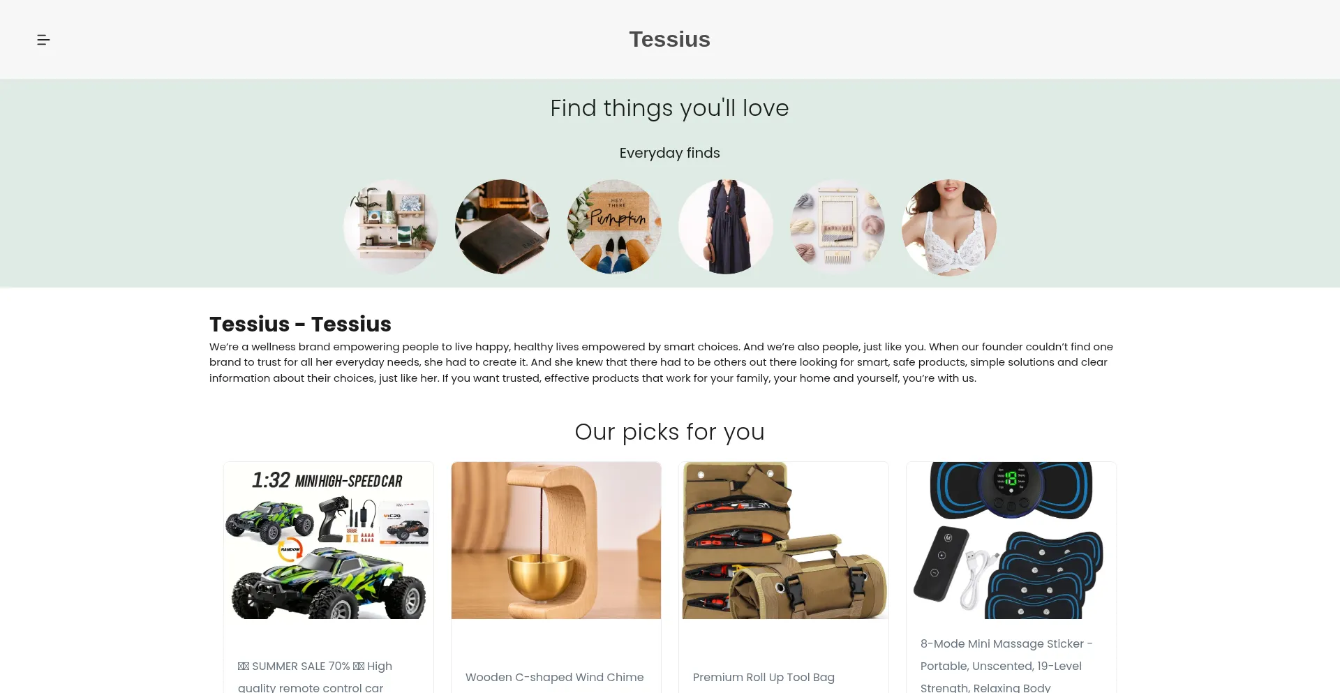 Website screenshot of Tessius.com