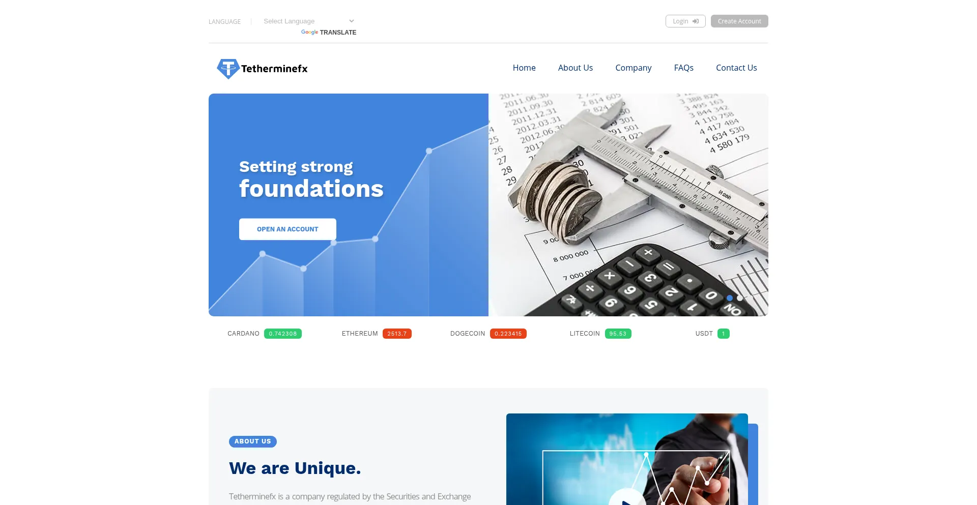 Website screenshot of Tetherminefx.org