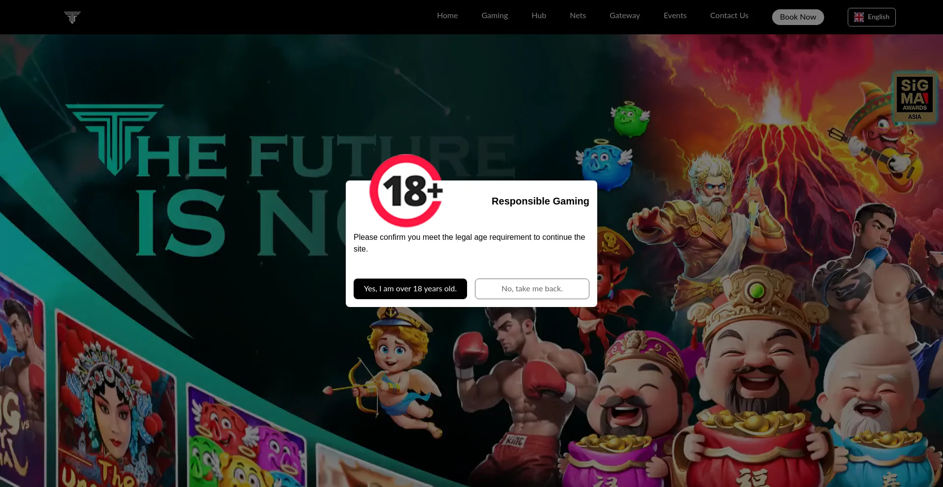 Website screenshot of Tgaming.co