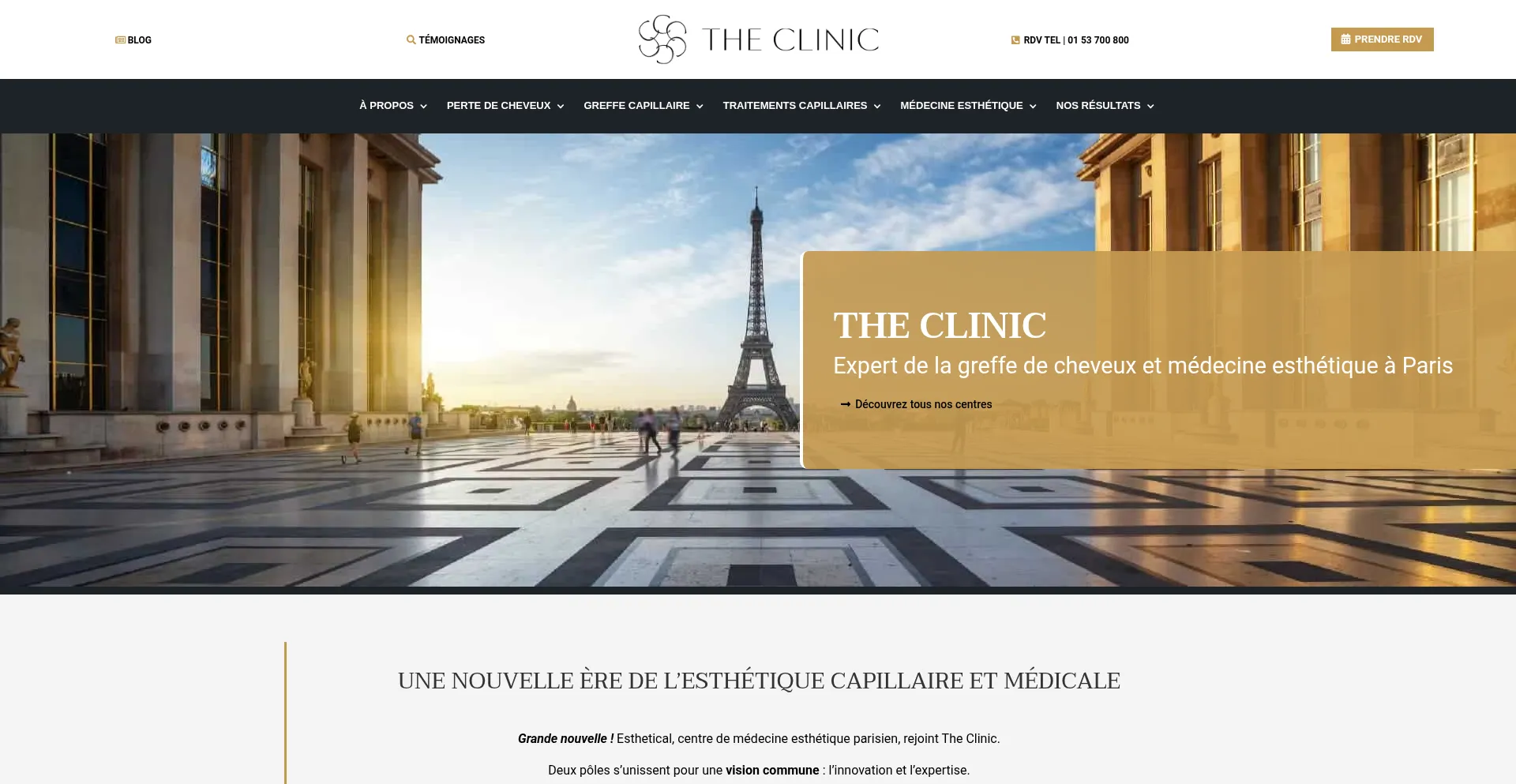 The-clinic.fr Screenshot