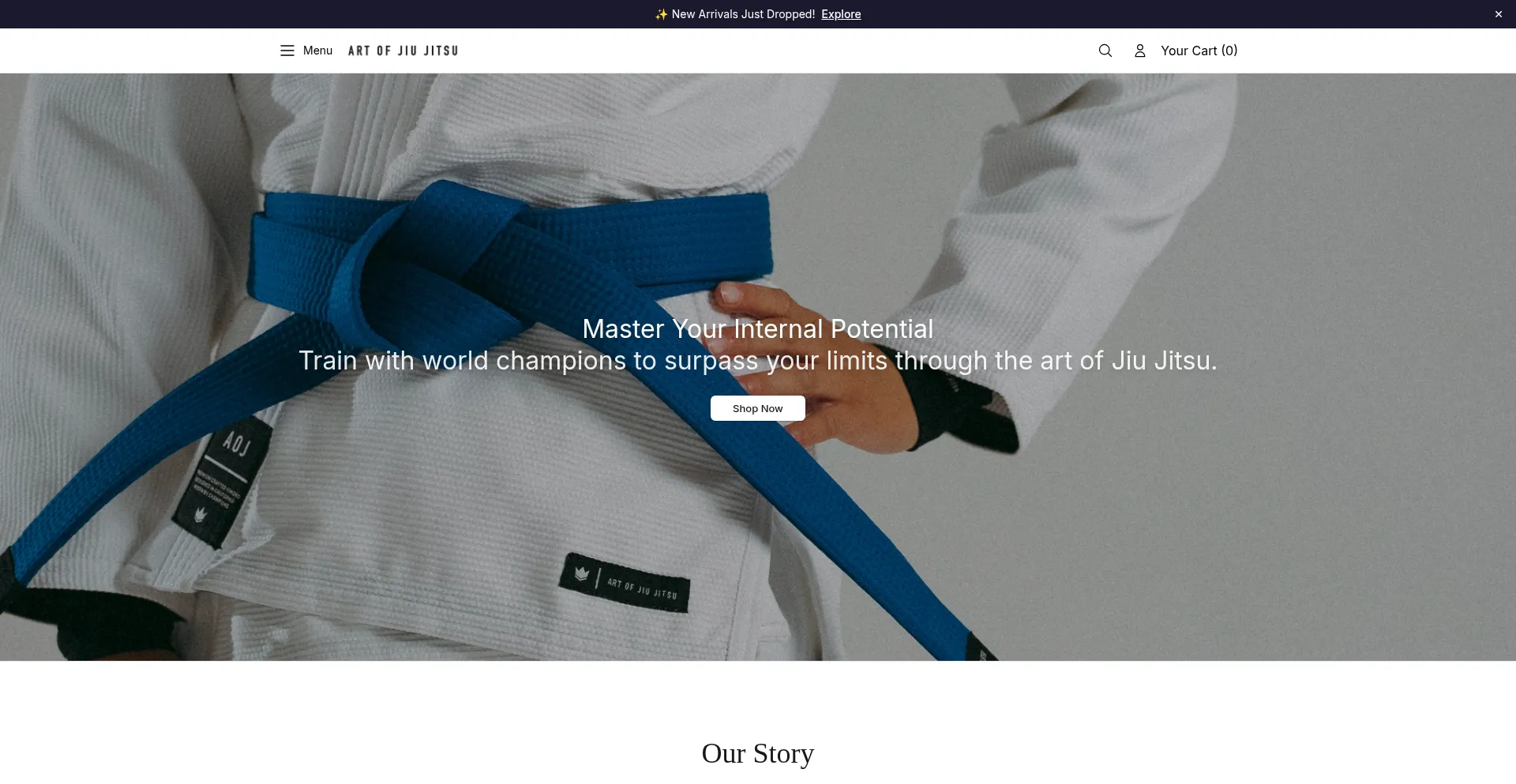 Theartofjiujitsu.shop