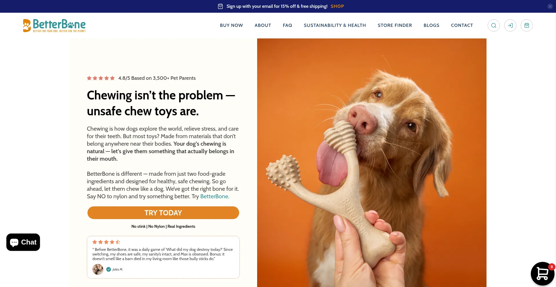 Website screenshot of Thebetterbone.com
