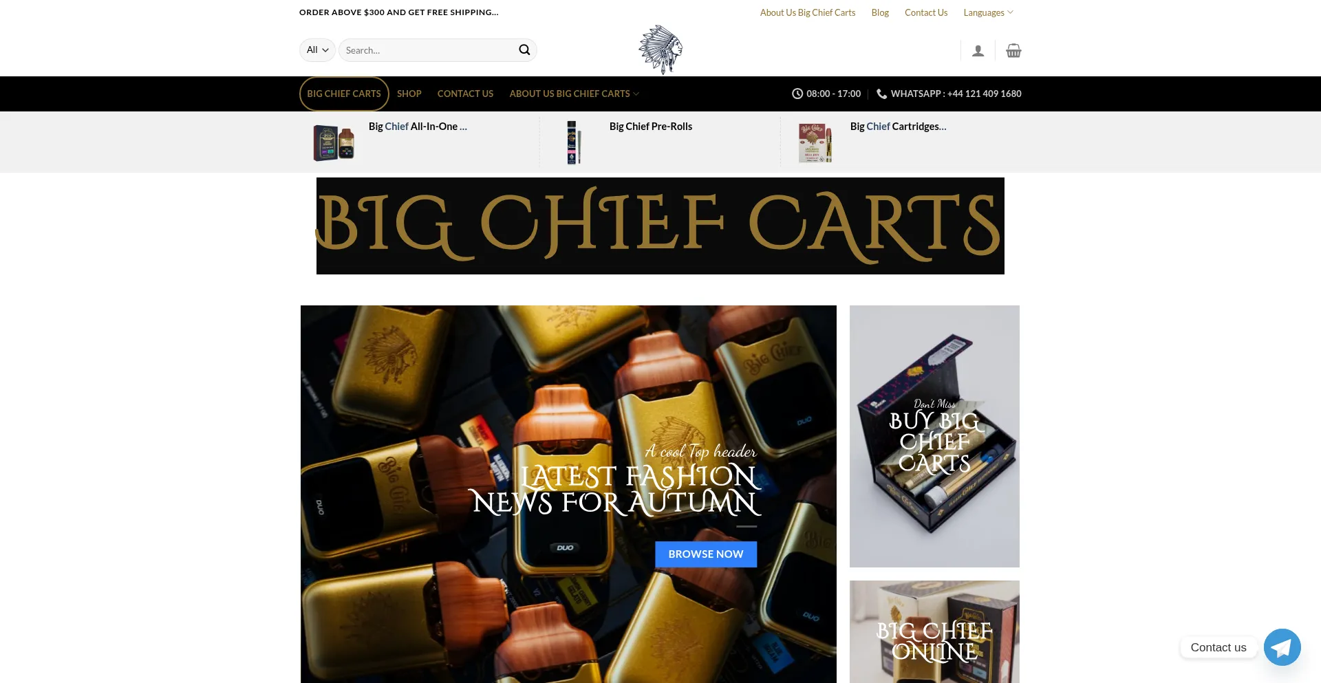 Thebigchiefcarts.com