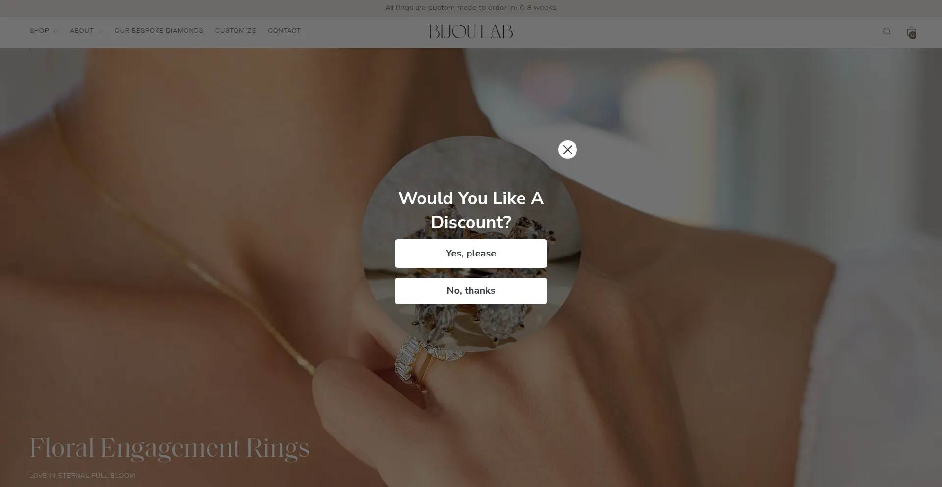 Website screenshot of Thebijoulab.com