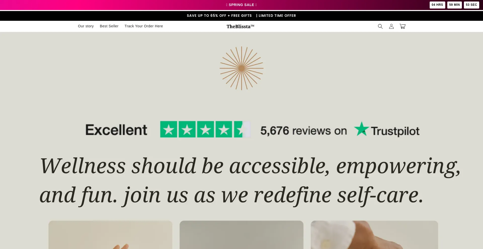 Website screenshot of Theblissta.us