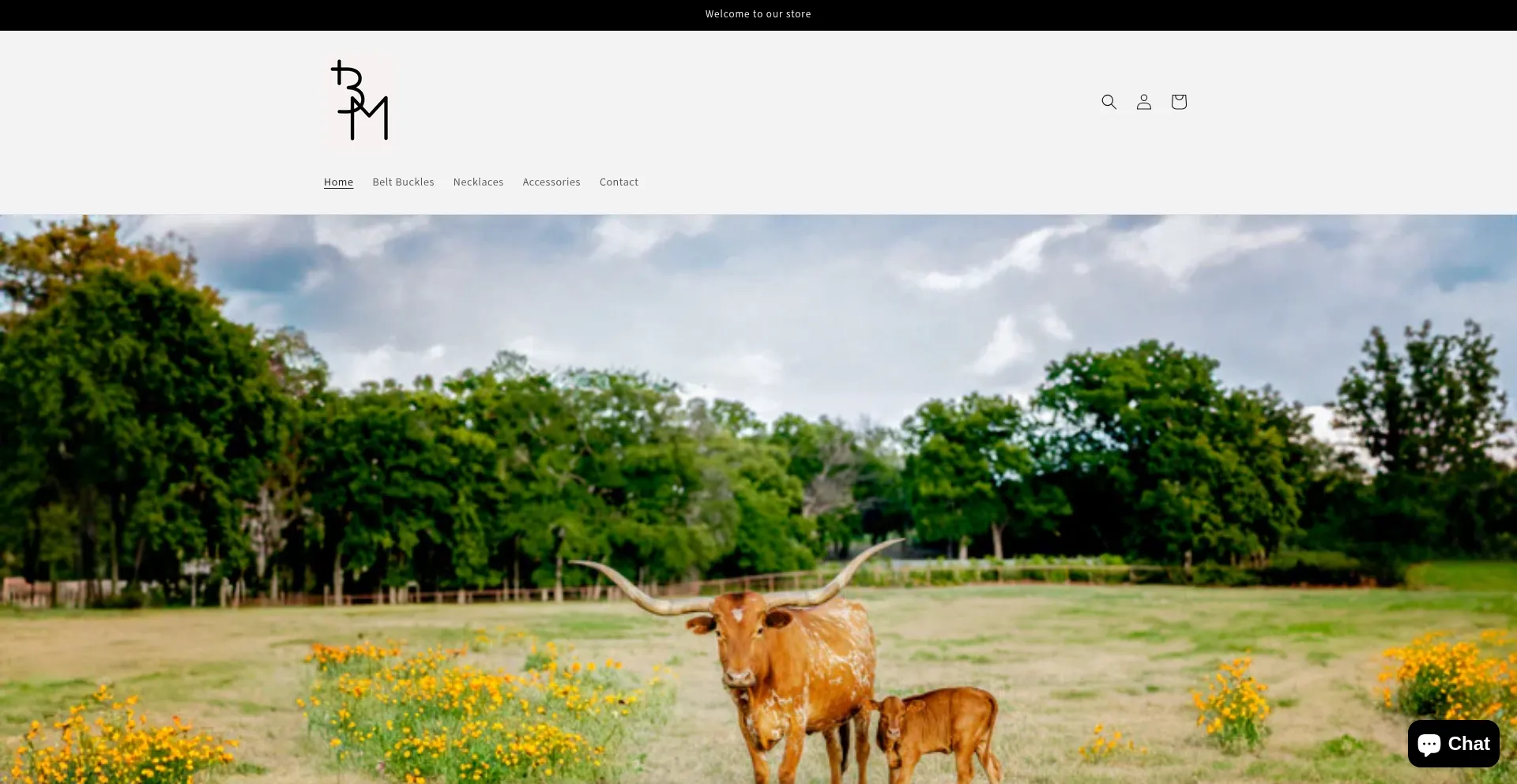 Website screenshot of Thebrandedmemories.com