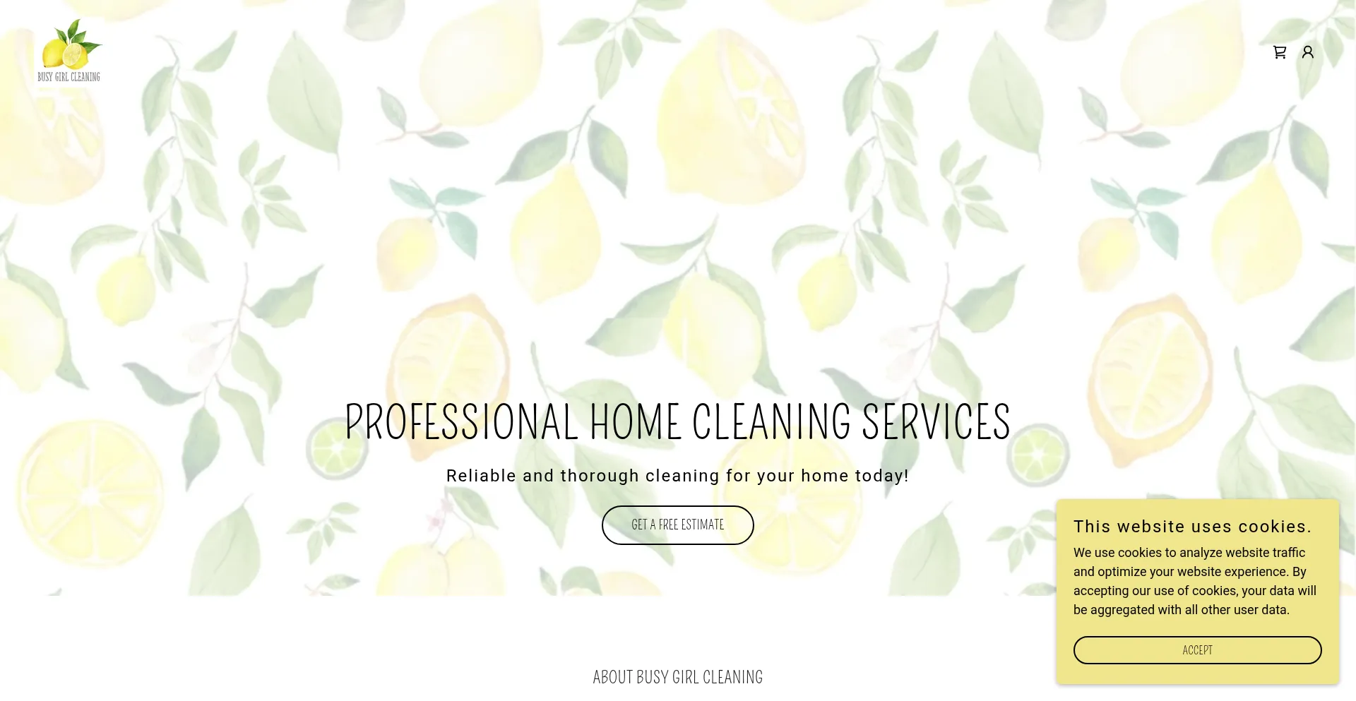 Website screenshot of Thebusygirlclean.com