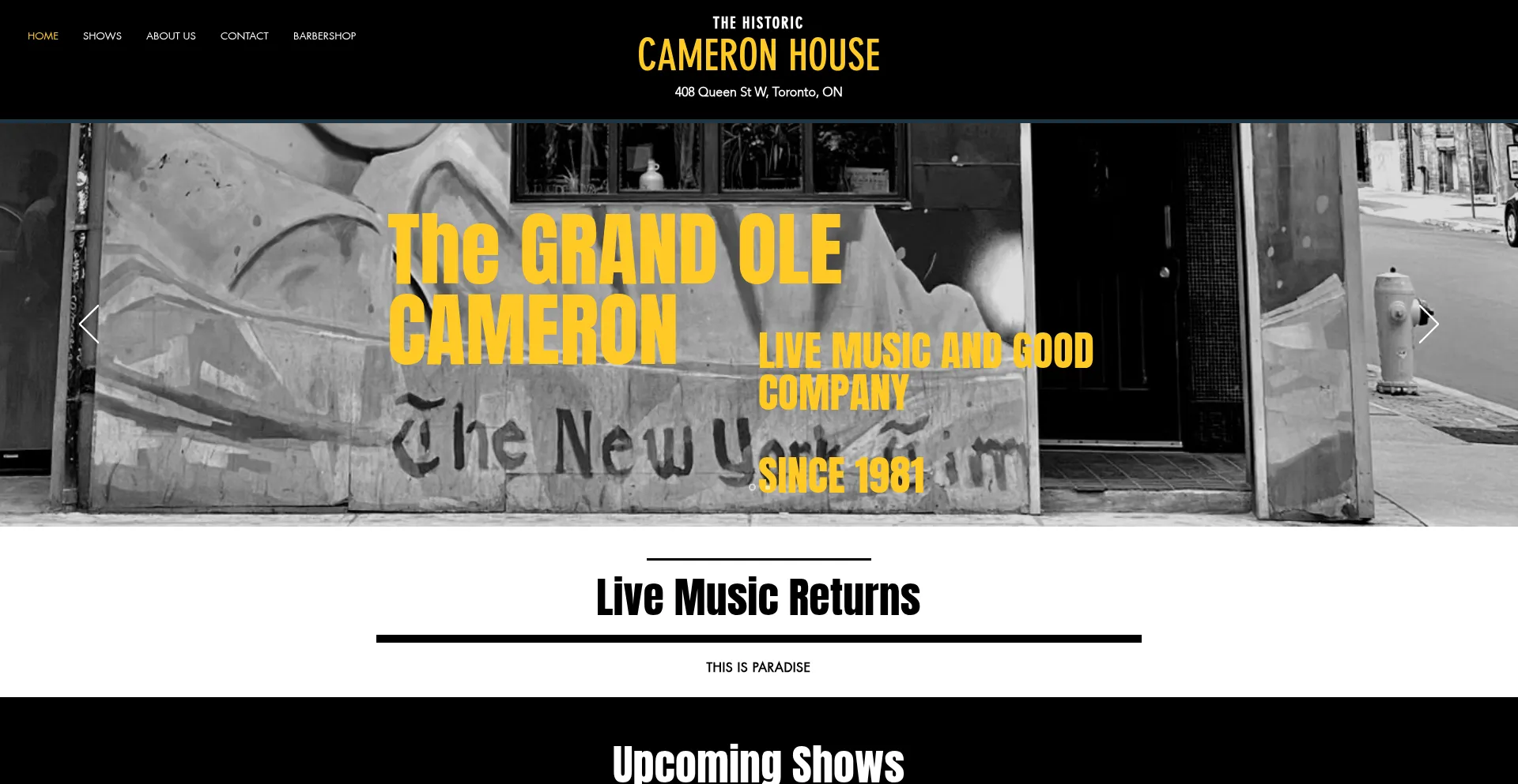 Website screenshot of Thecameron.com
