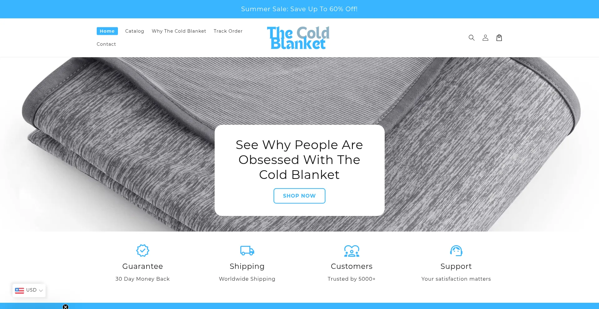 Website screenshot of Thecoldblanket.com