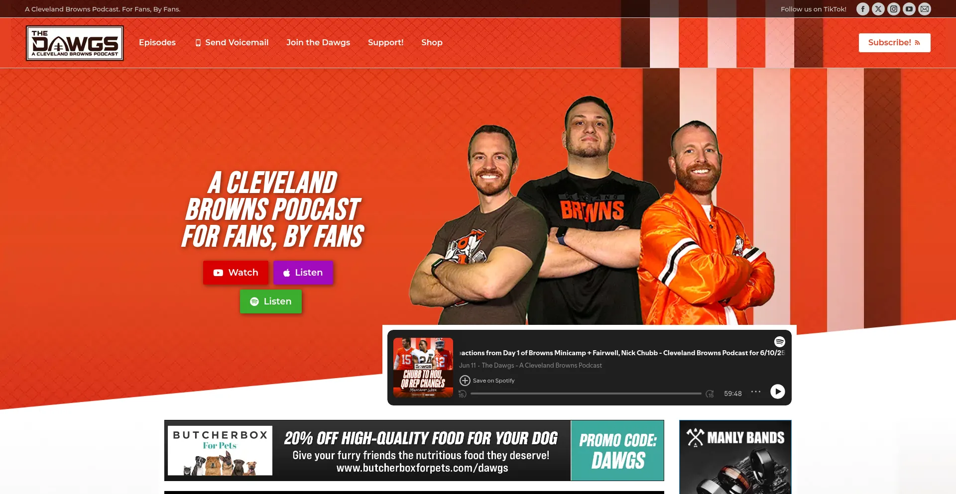 Website screenshot of Thedawgspodcast.com