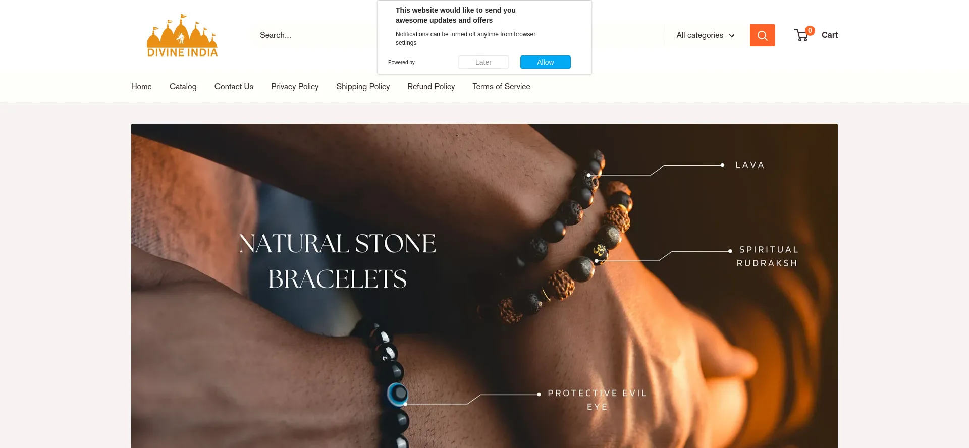 Website screenshot of Thedivineindia.in
