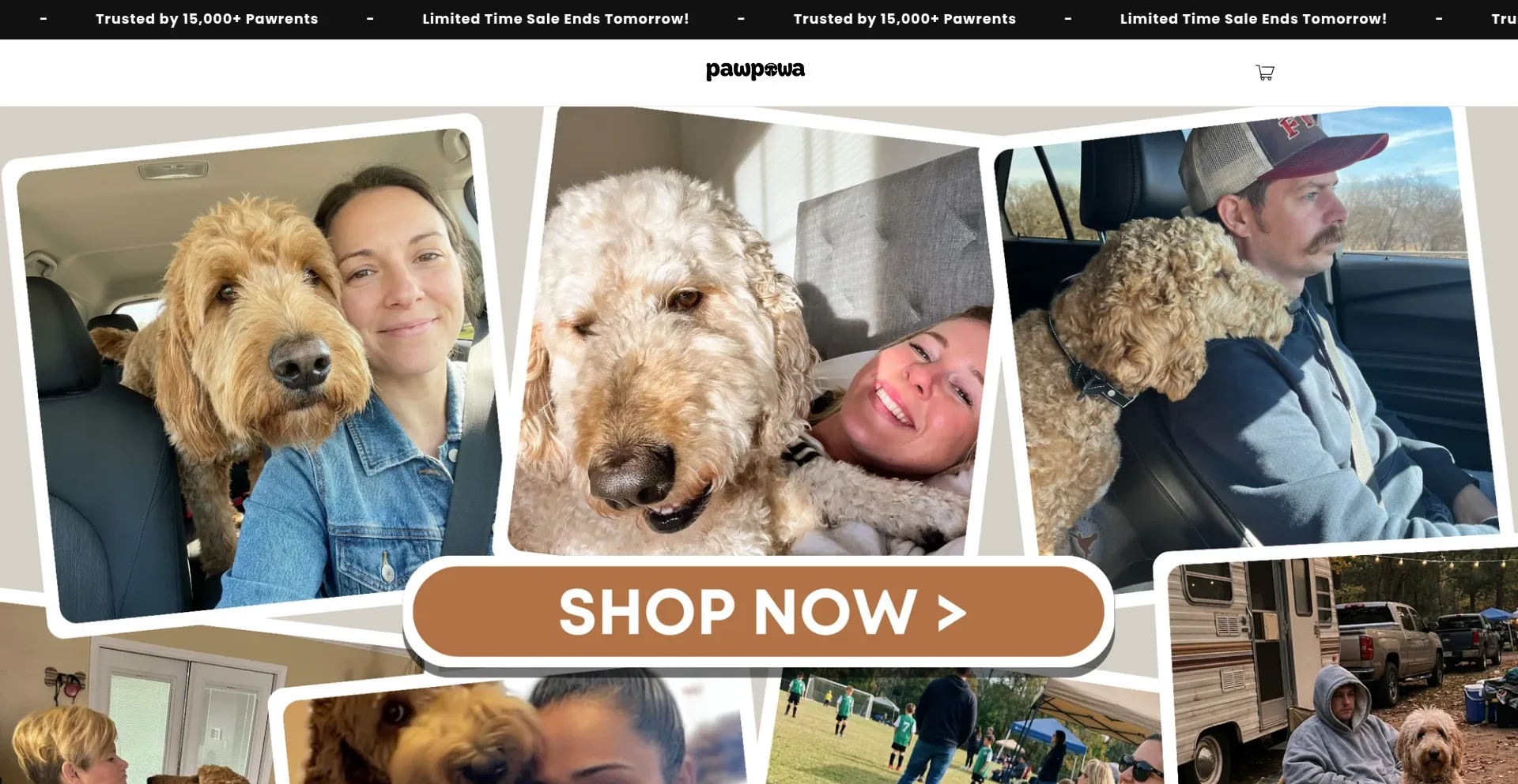 Thedoodleway.com