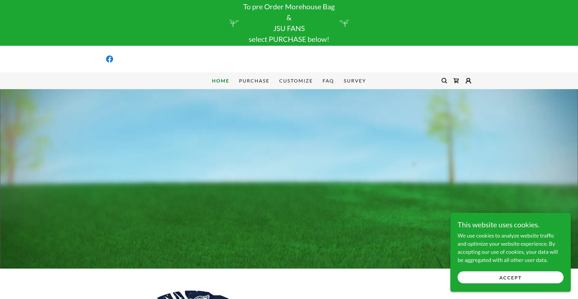 Website screenshot of Theegolfcollective.com