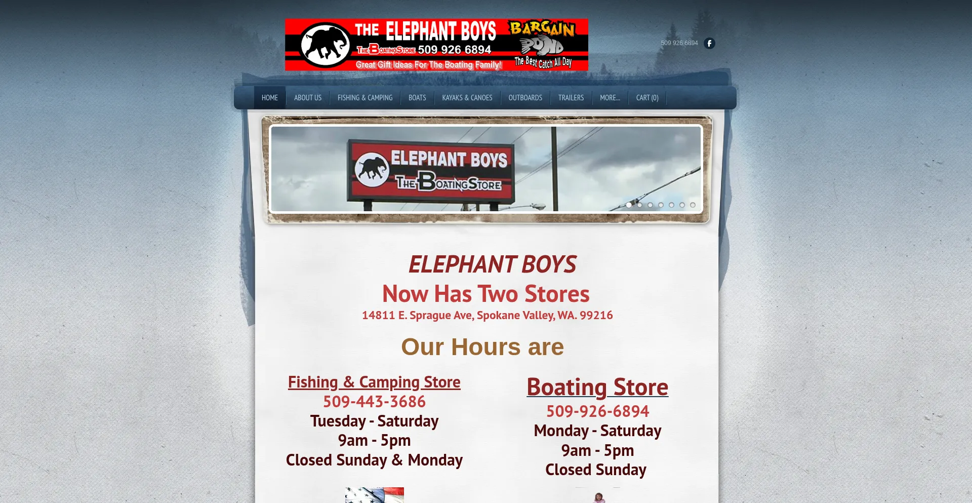 Is Theelephantboys.com Safe?