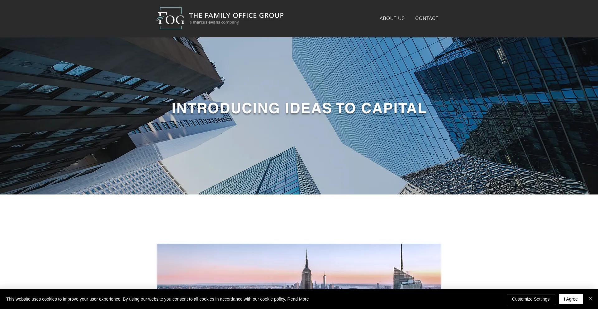 Website screenshot of Thefamilyofficegroup.com