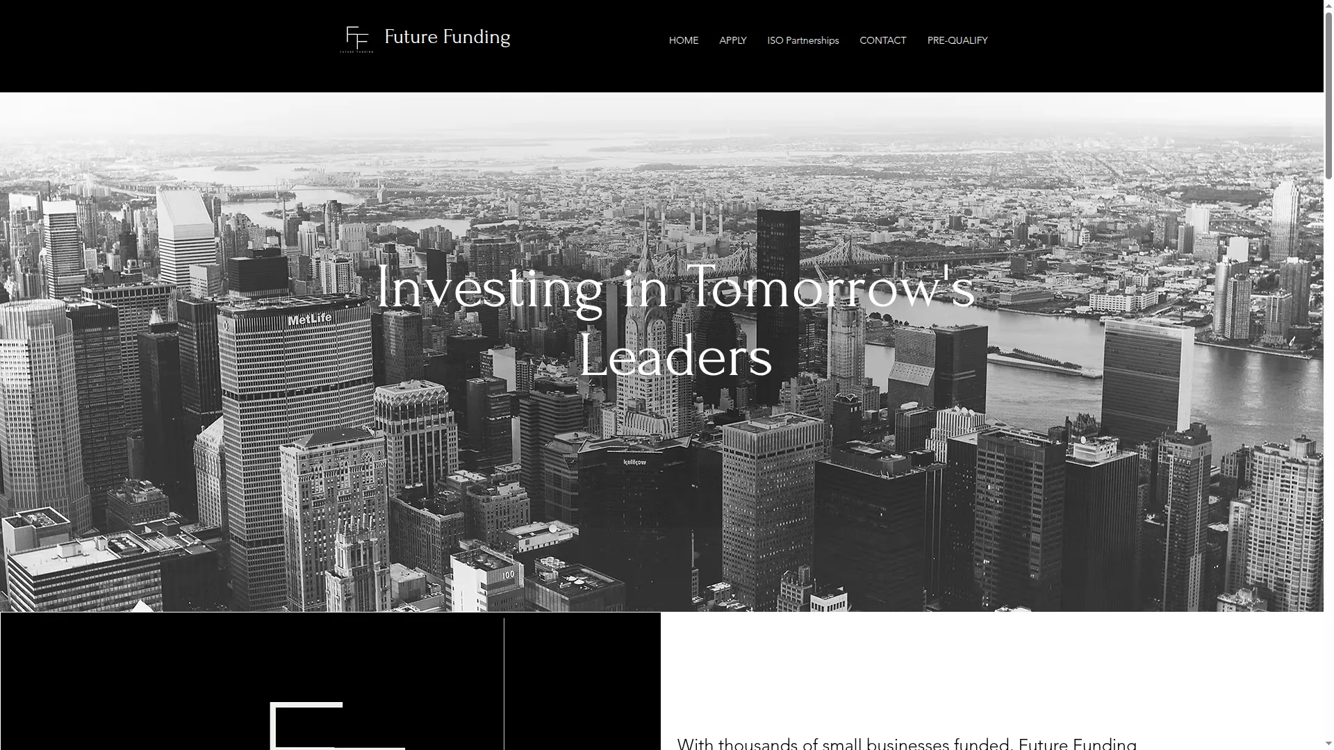 Thefuturefunding.com