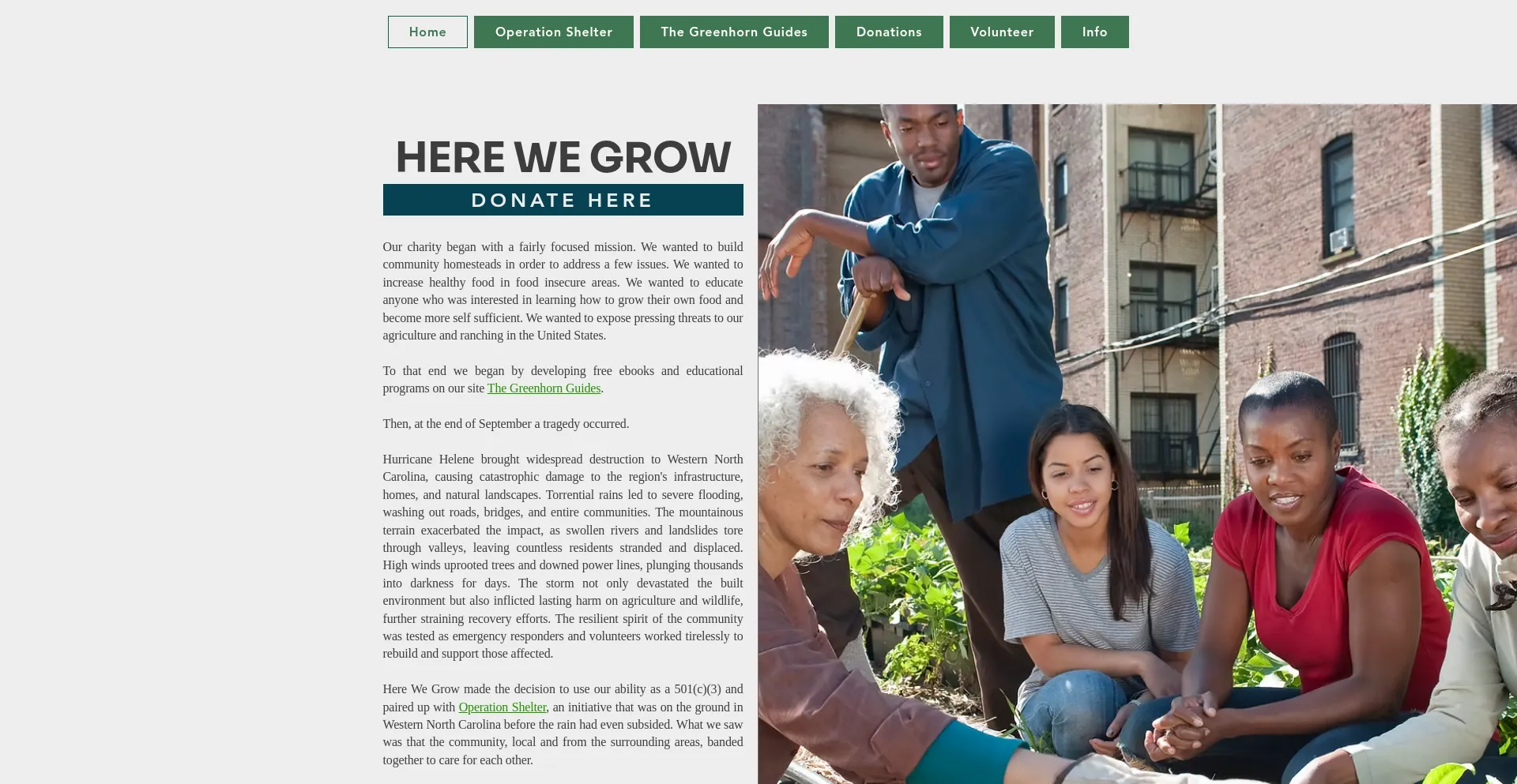 Website screenshot of Thegrowsquad.org