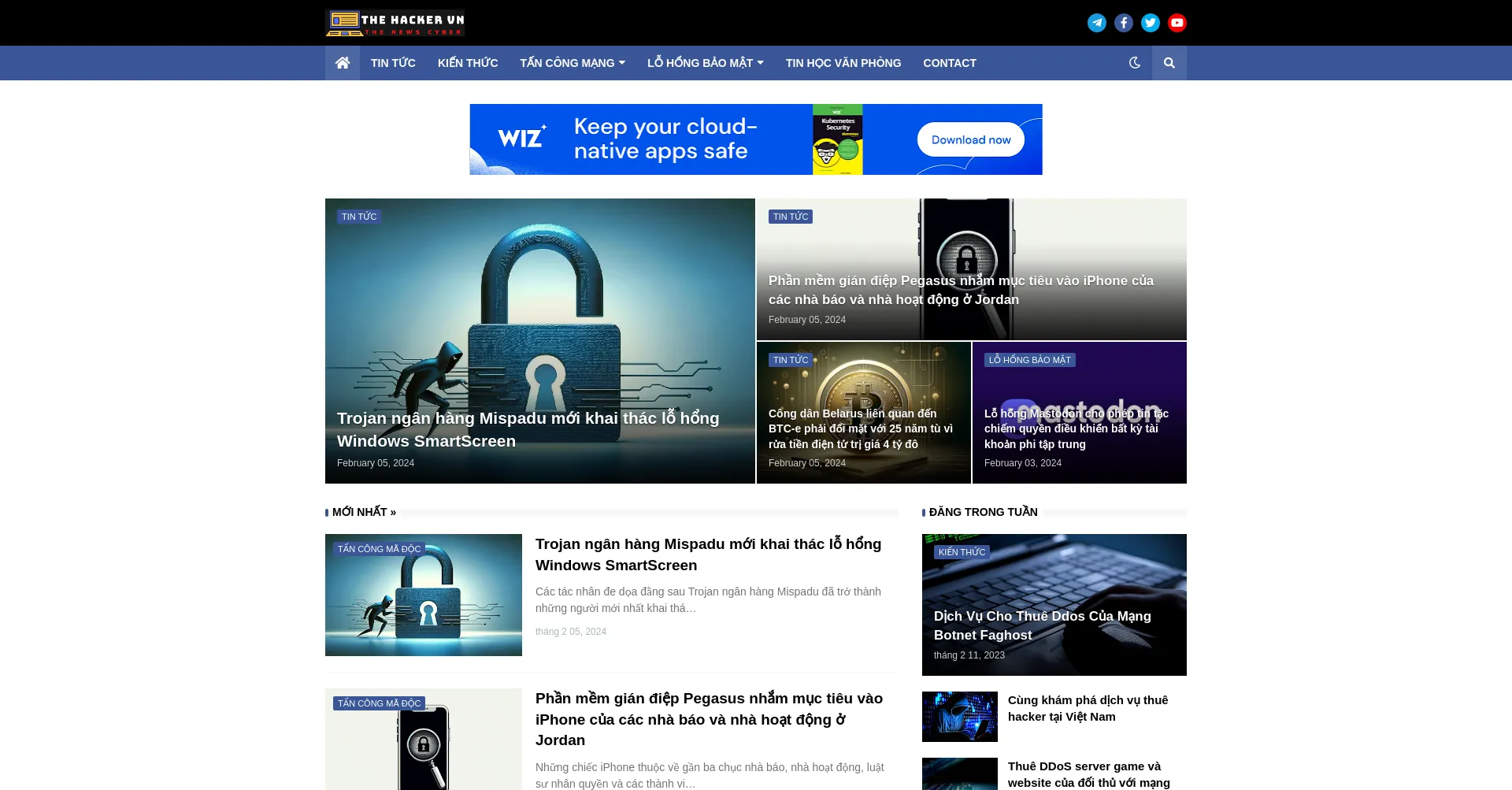 Website screenshot of Thehackervn.com
