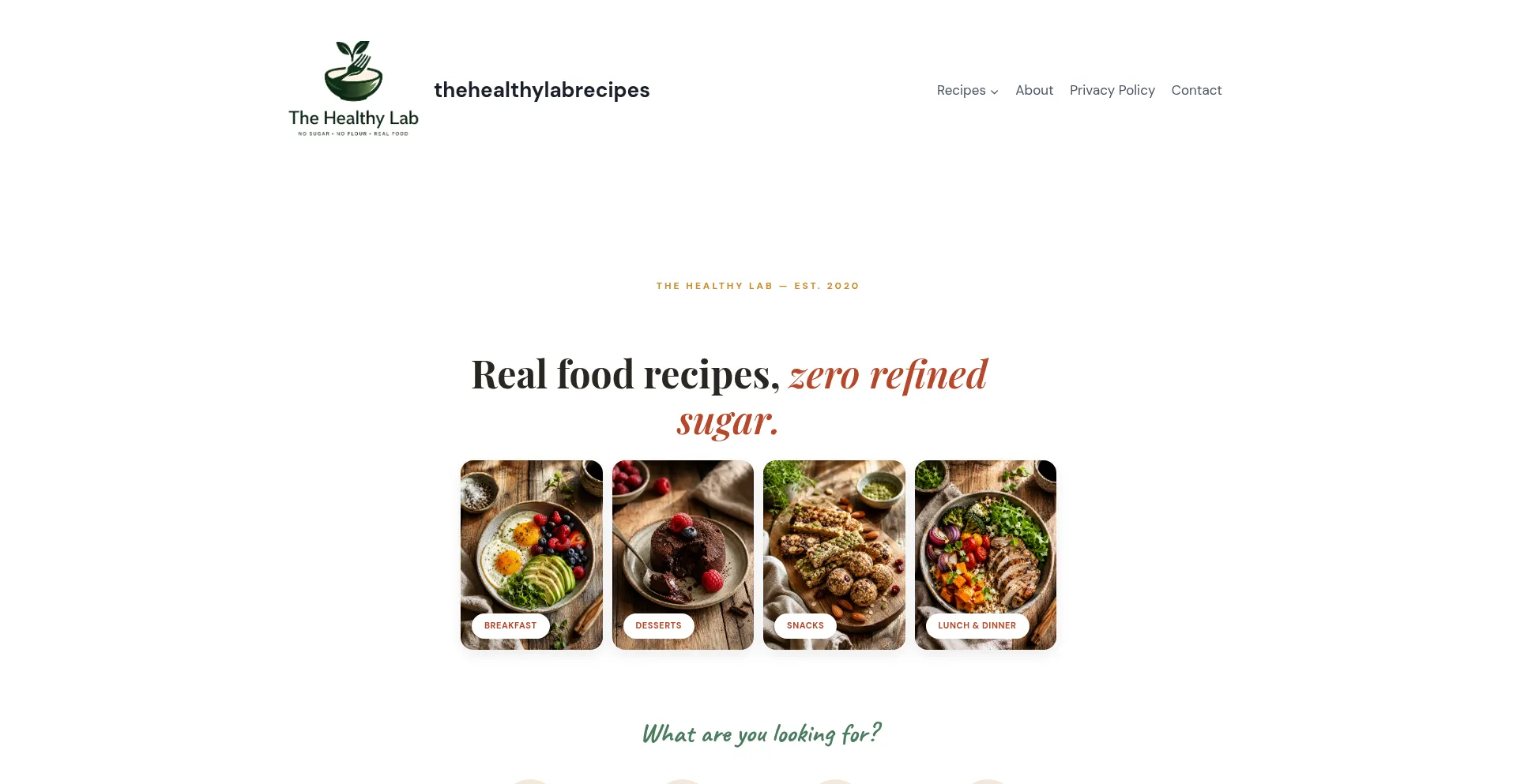 Thehealthylabrecipes.com