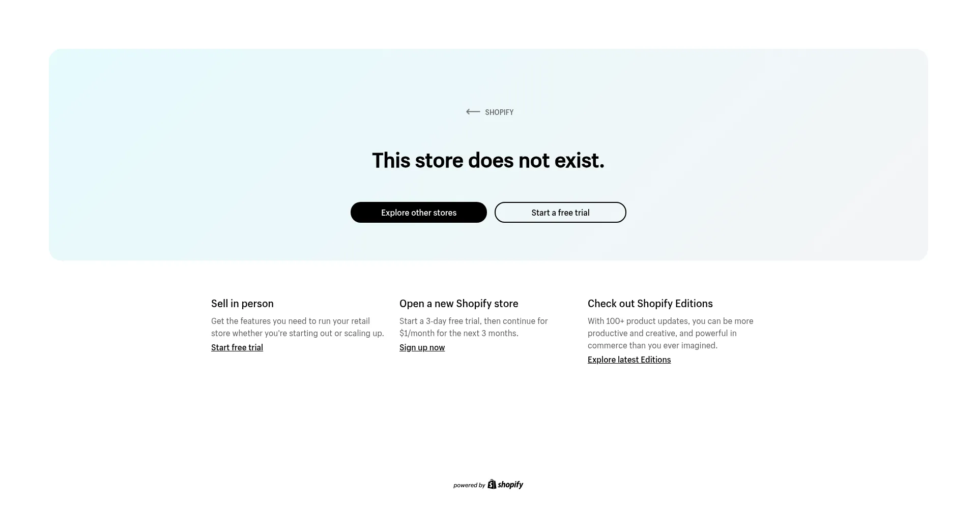 Website screenshot of Theholycozy.com